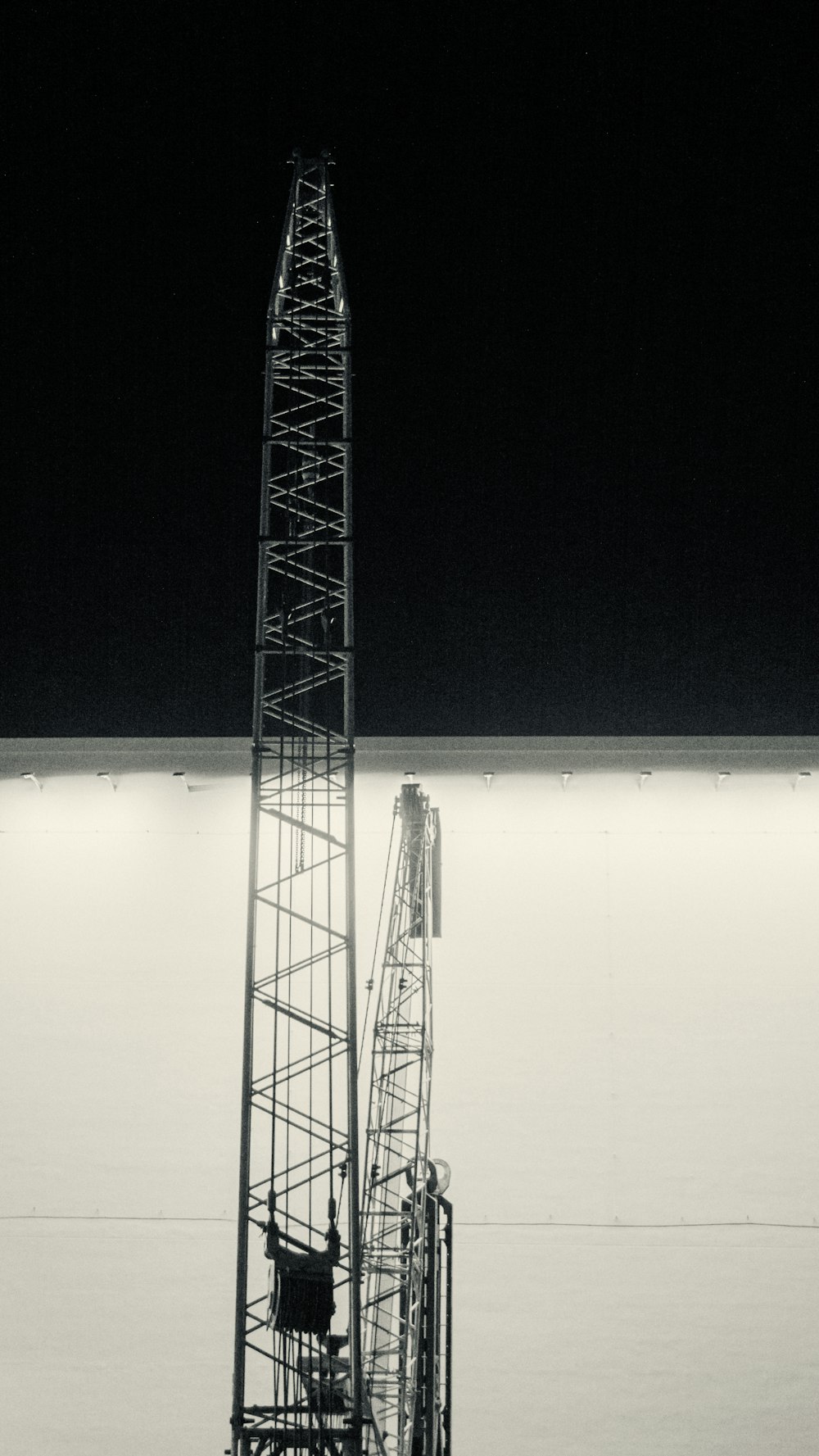 low-light photo of crane