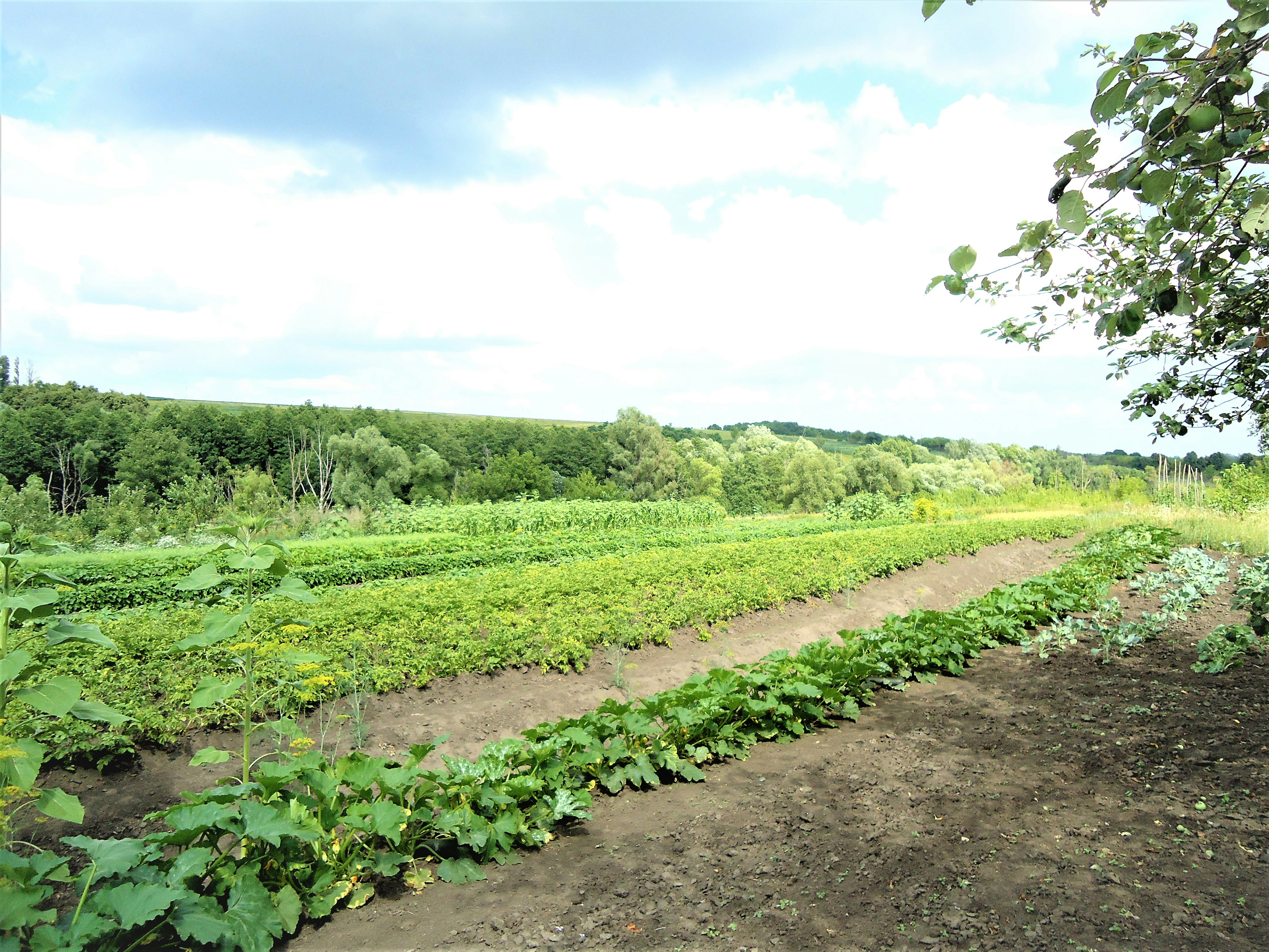 Empower Your Farming Journey Today