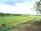 A lush agricultural field with rows of crops growing in the soil. Green plants are arranged in neat lines, surrounded by a backdrop of dense forest and rolling hills under a partly cloudy sky. The image conveys a sense of peace and natural abundance.