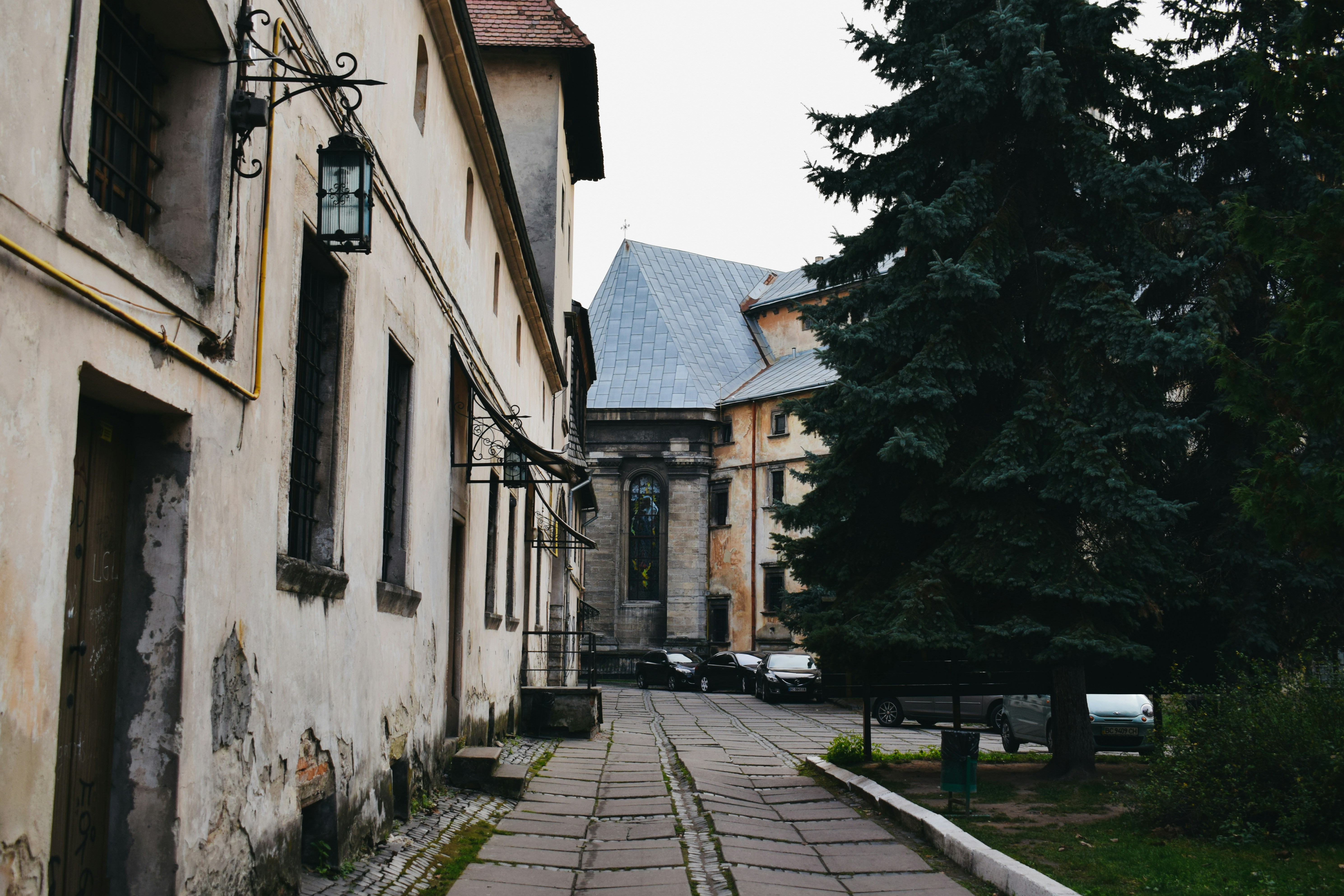 Photo by darya_tryfanava