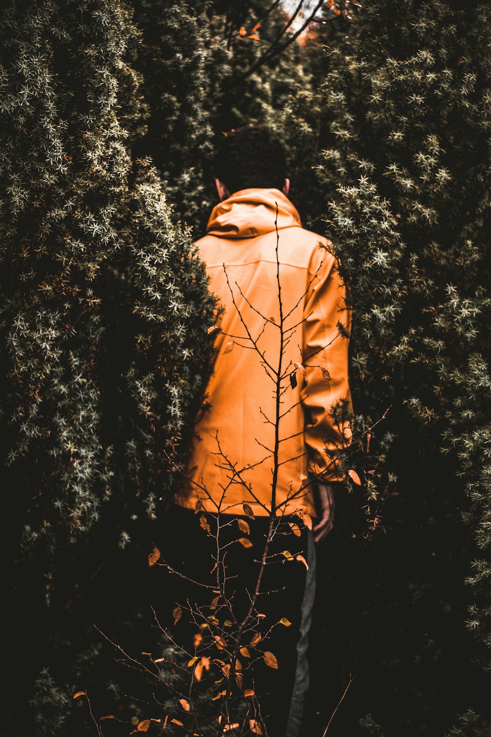 man in orange jacket near trees