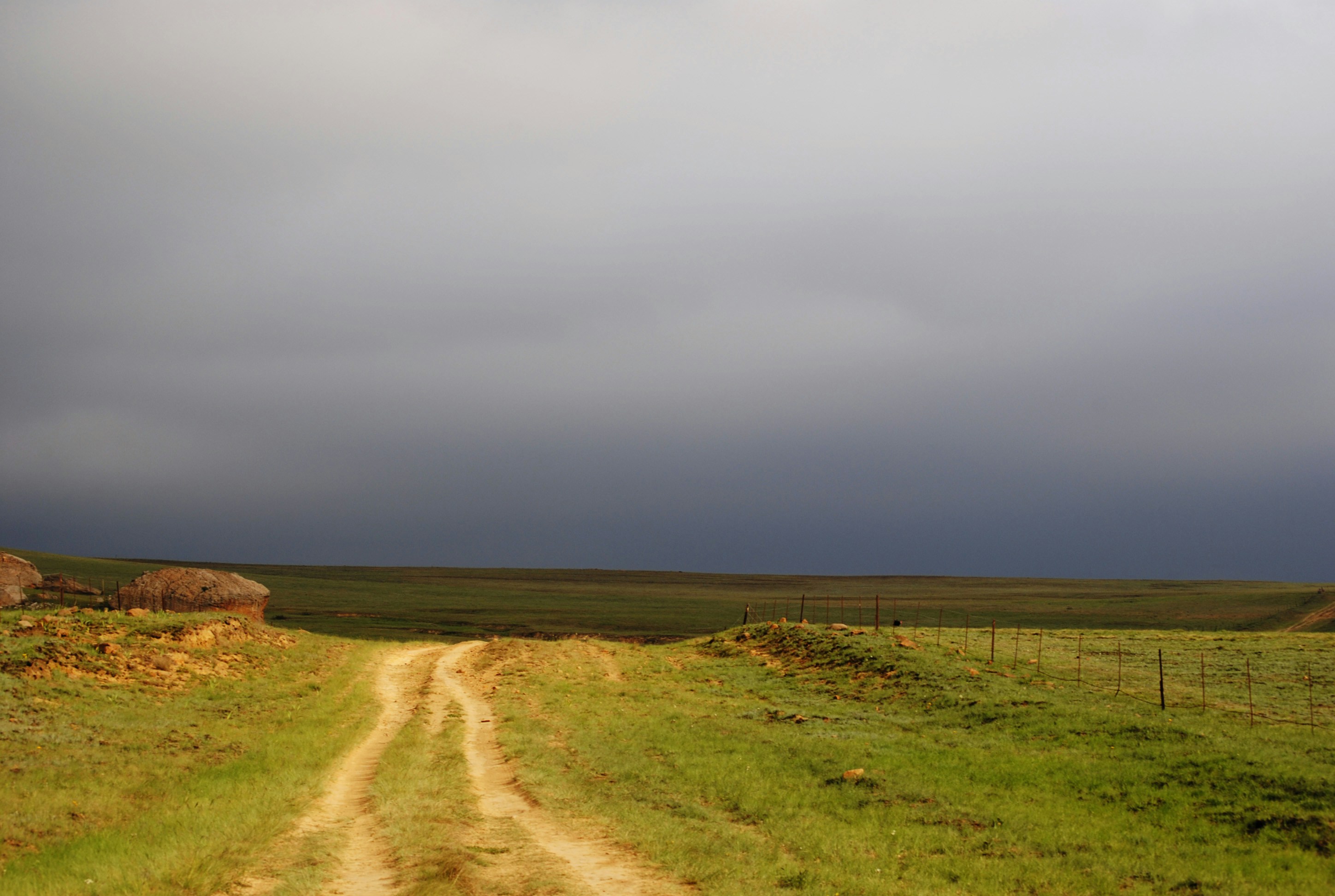 Photo by adaliabotha