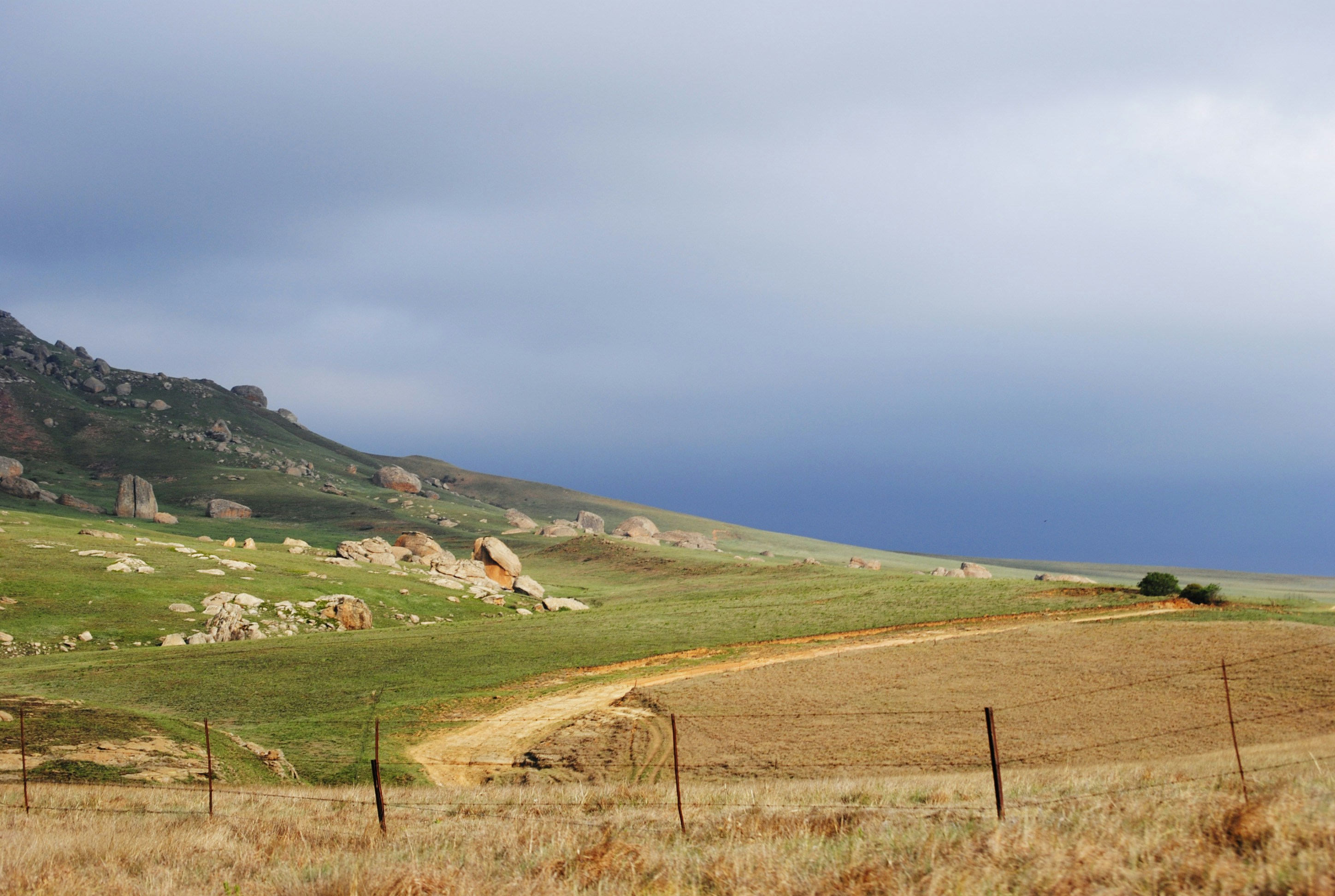 Photo by adaliabotha