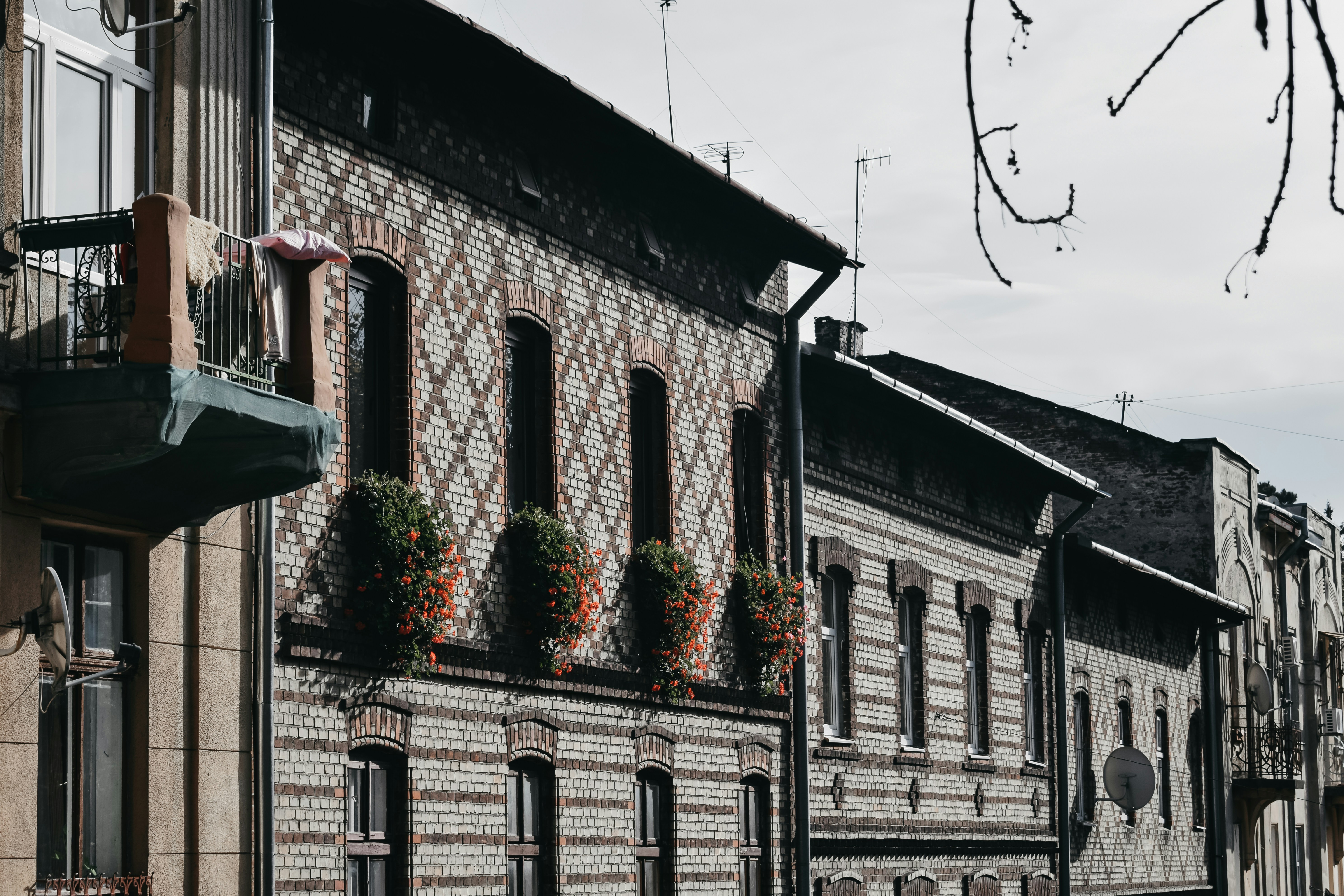 Photo by darya_tryfanava