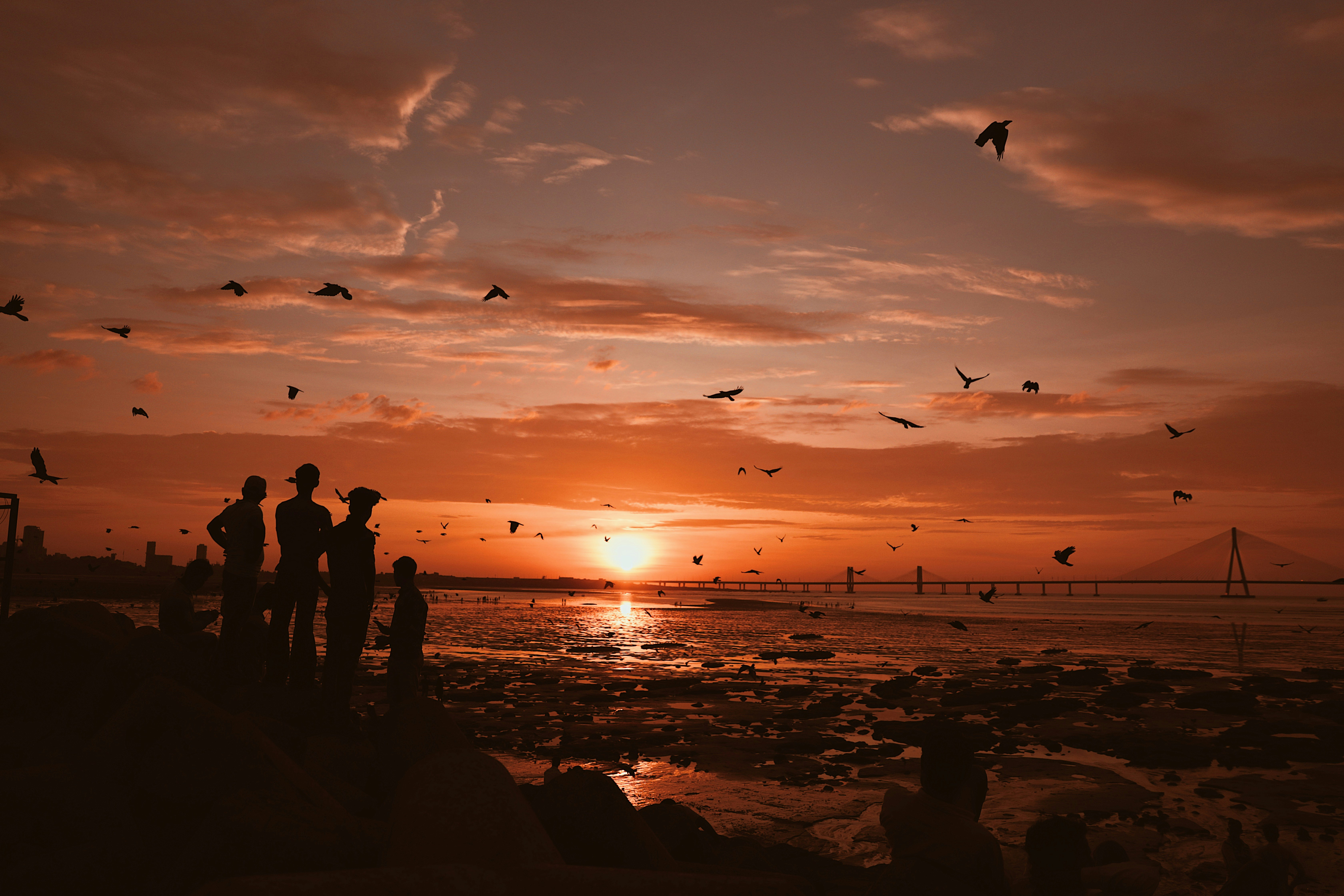 Photo by vishaldavde09
