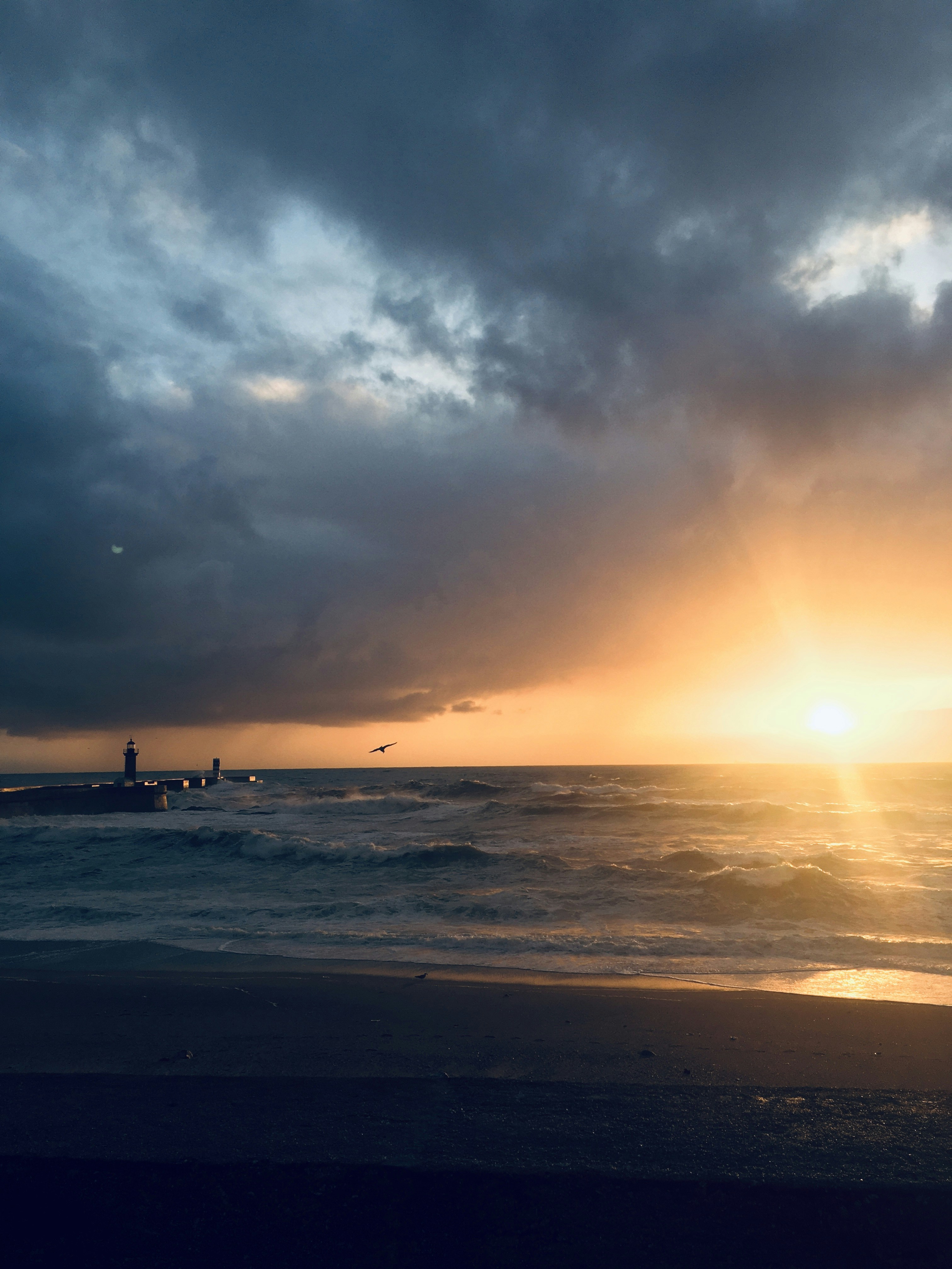 Photo by josemartins