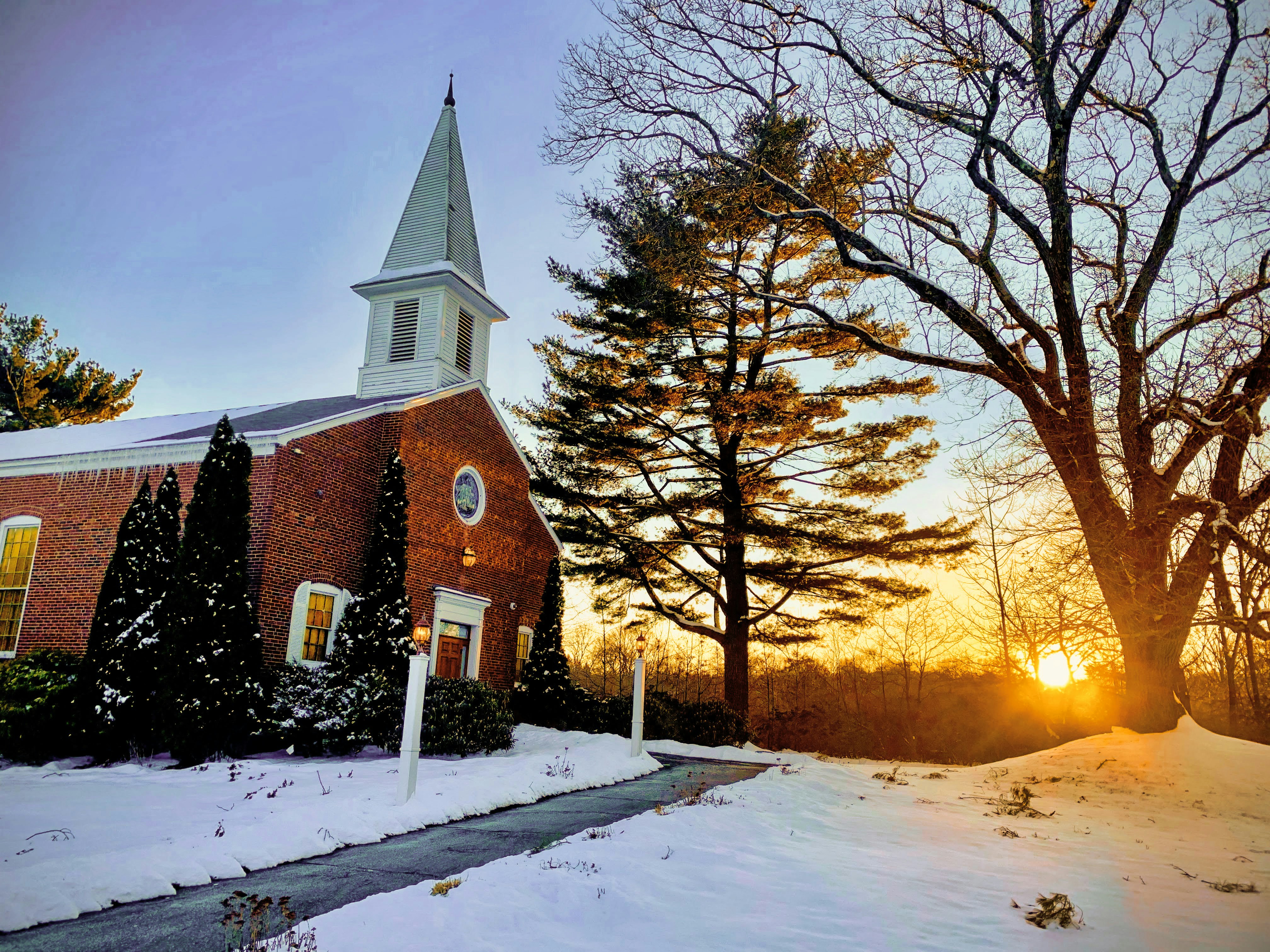 brown and white house near tree under blue sky