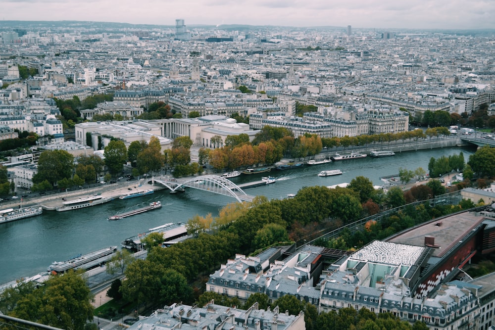 aerial photography of city buildings