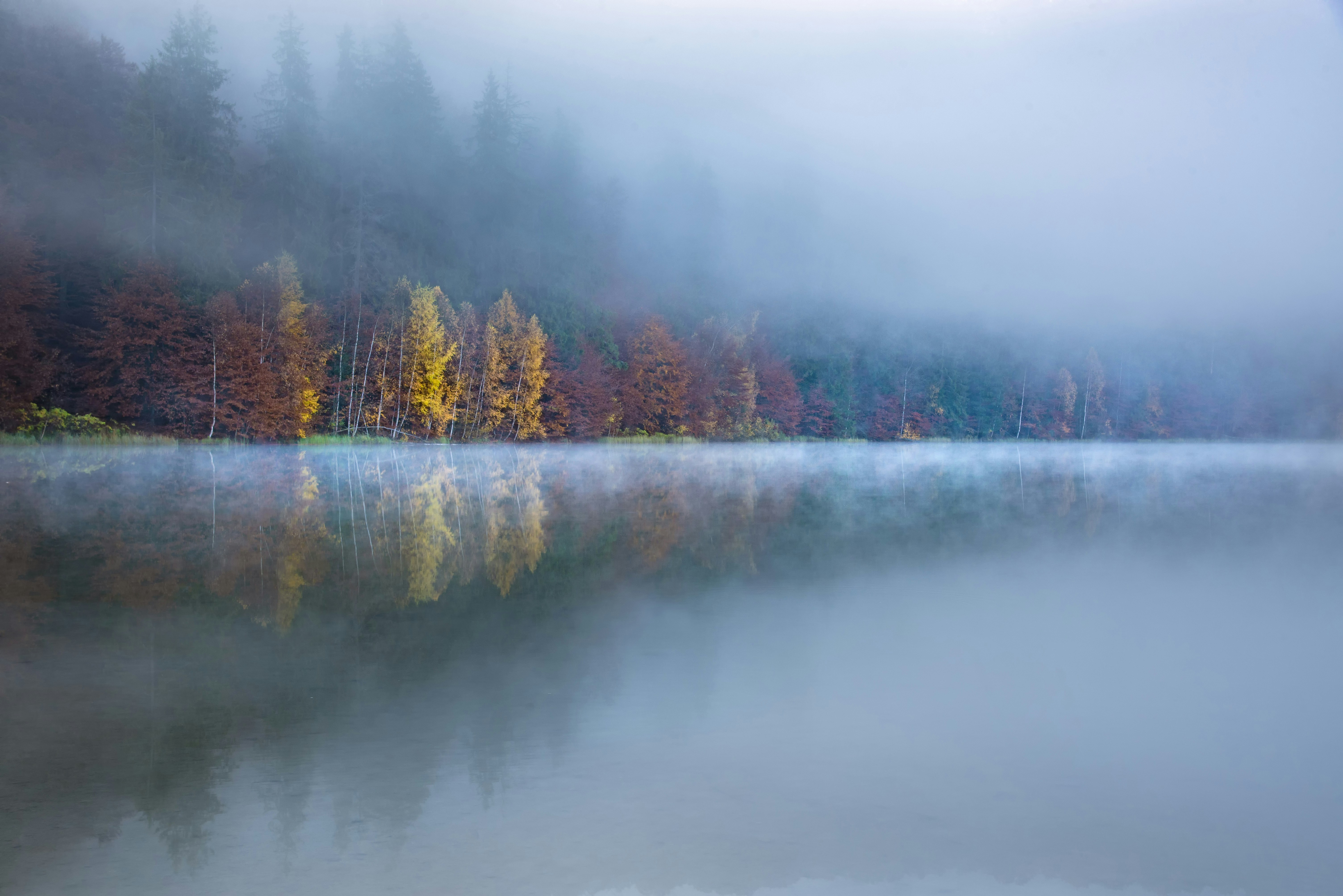 Estamos realmente vendendo analgésicos?