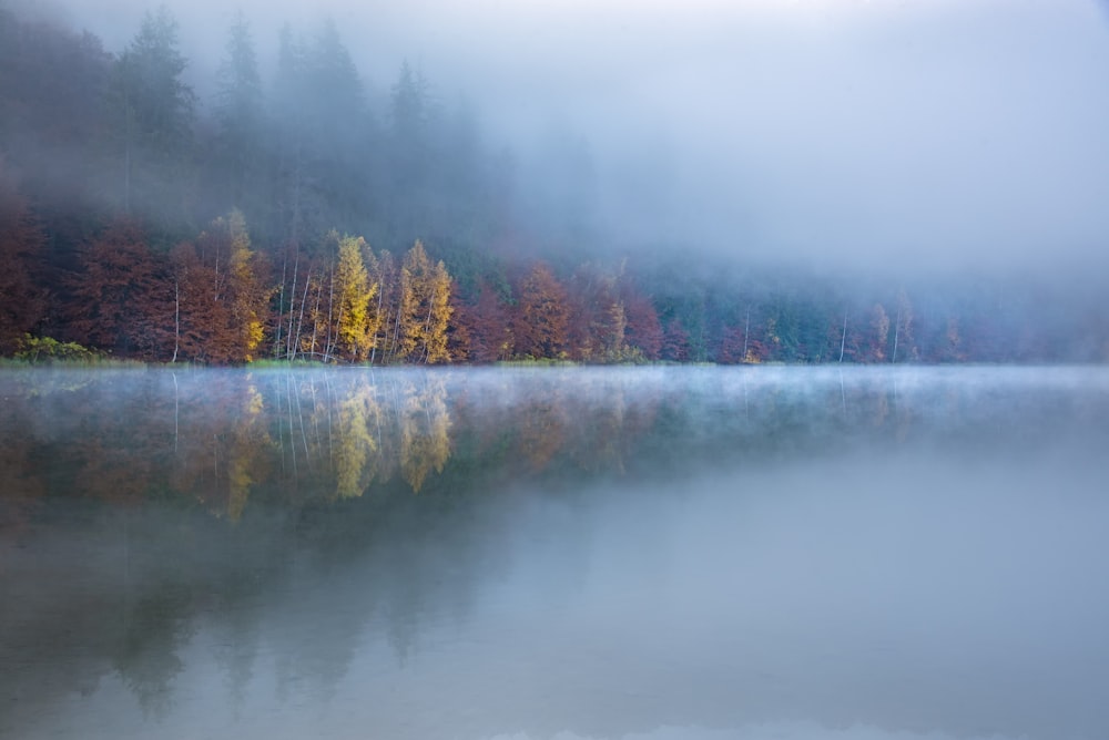 lake beside red and yellow trees during daytime