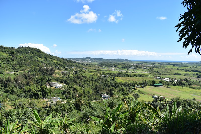 Yabucoa