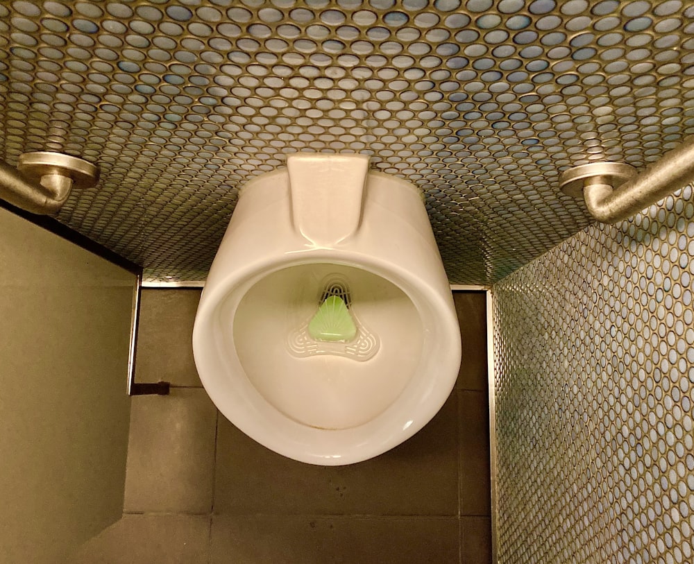 Astuce pour déboucher les toilettes sans ventouse - Le blog StarOfService
