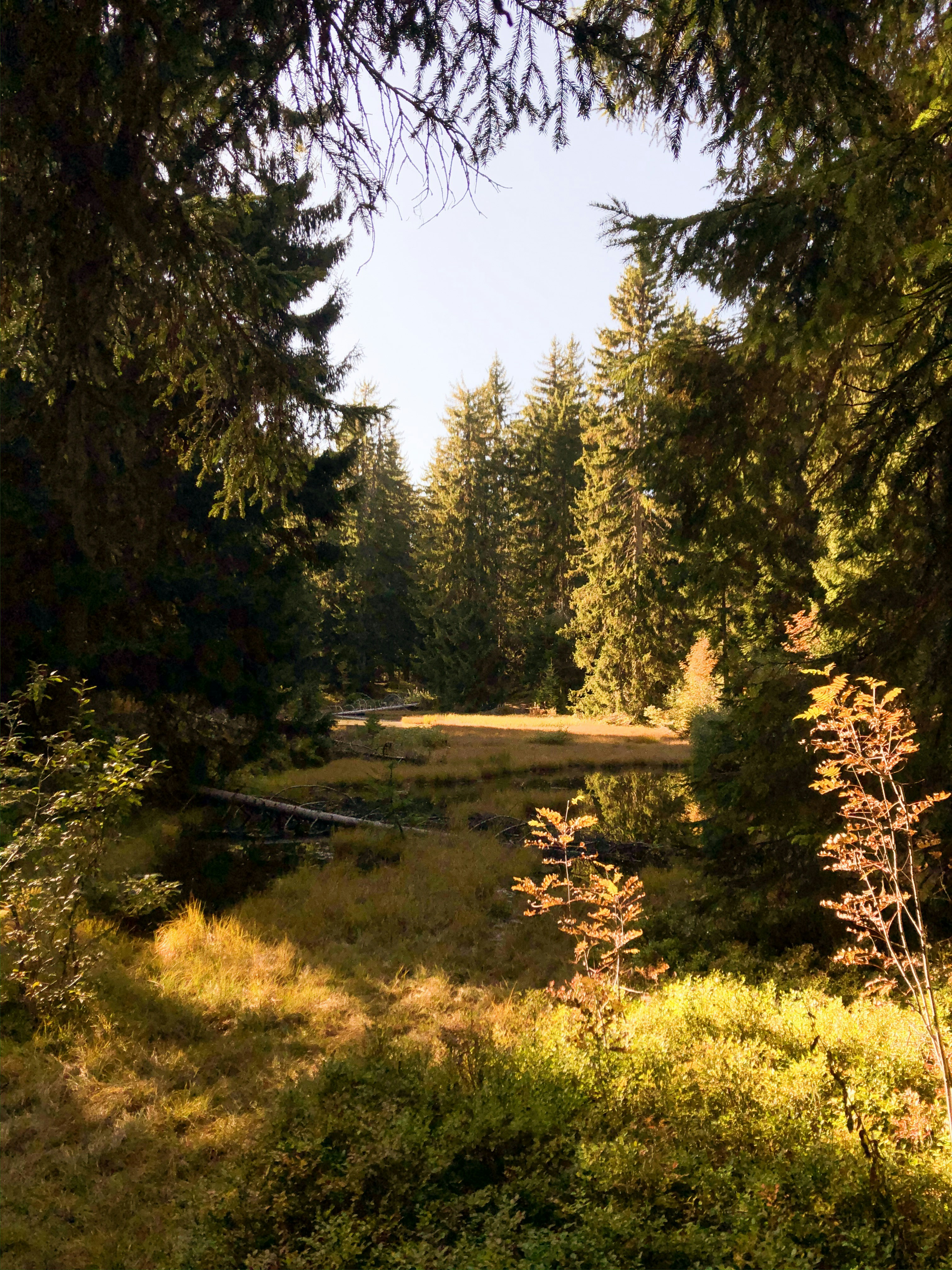 Photo by chsn_helena