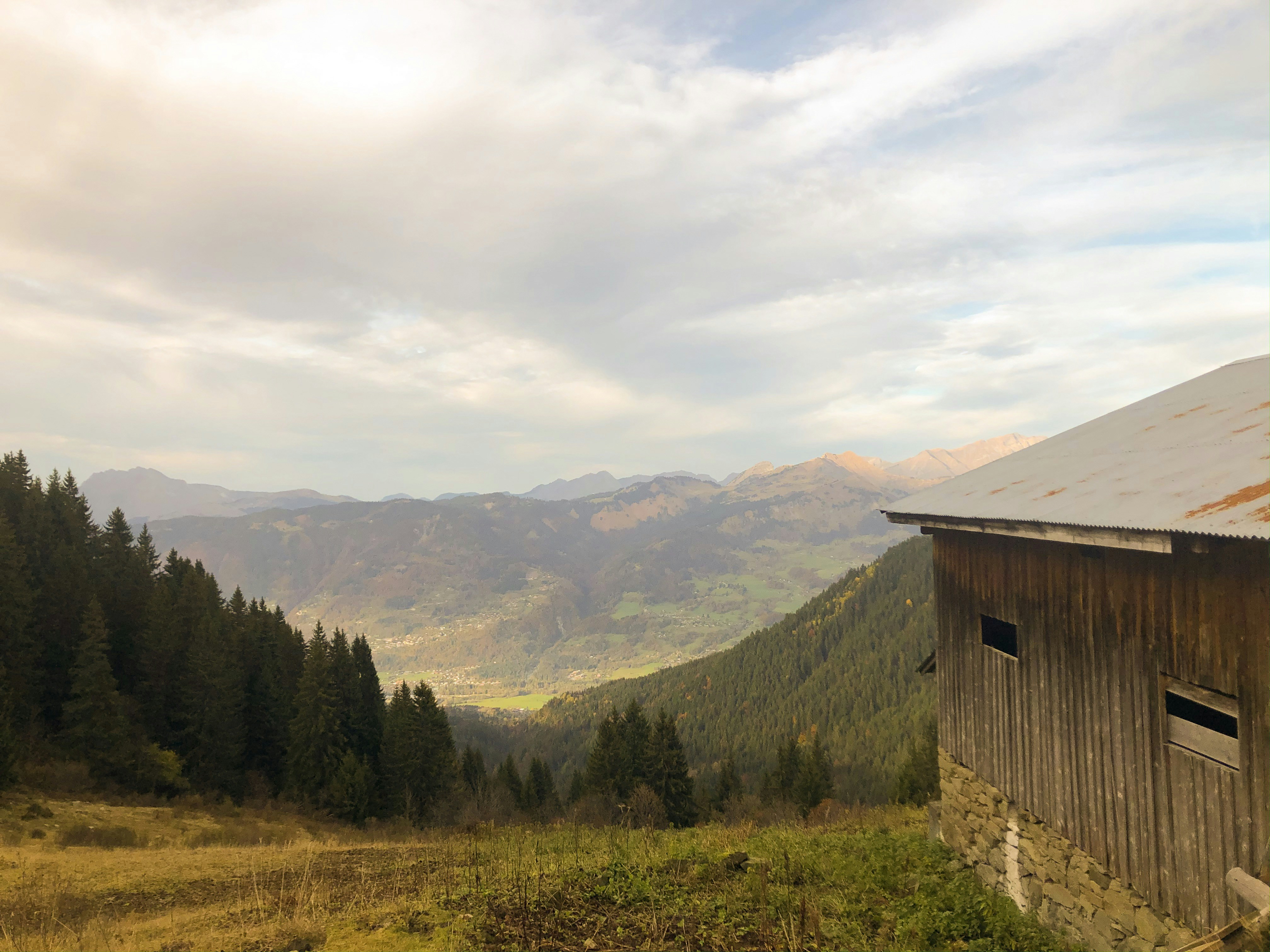 Photo by chsn_helena