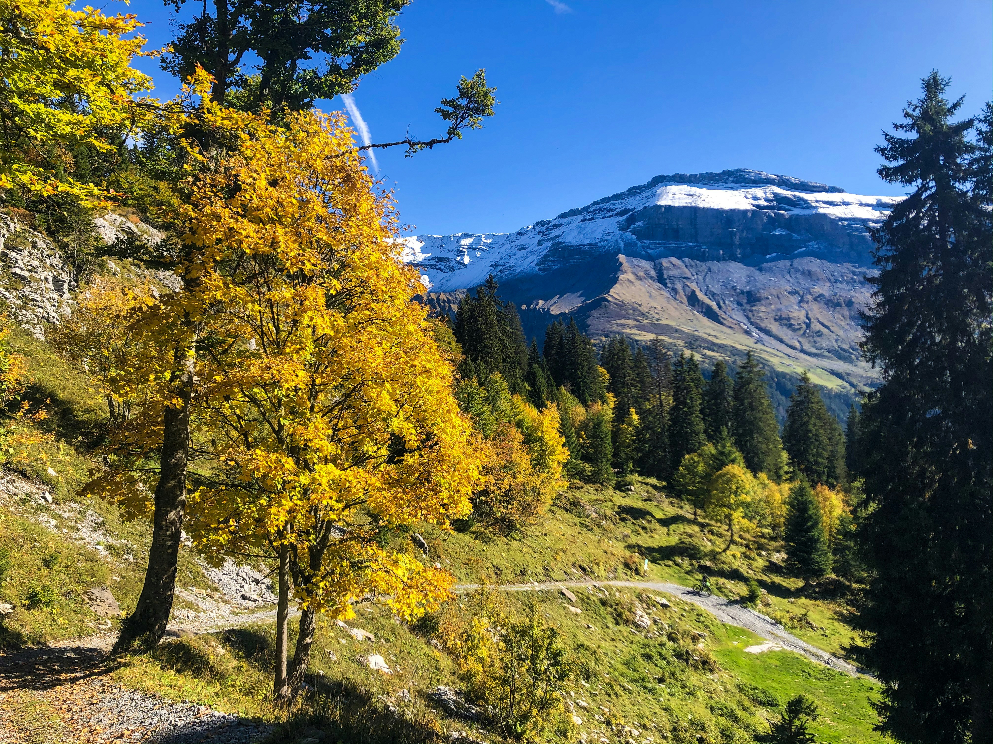 Photo by chsn_helena