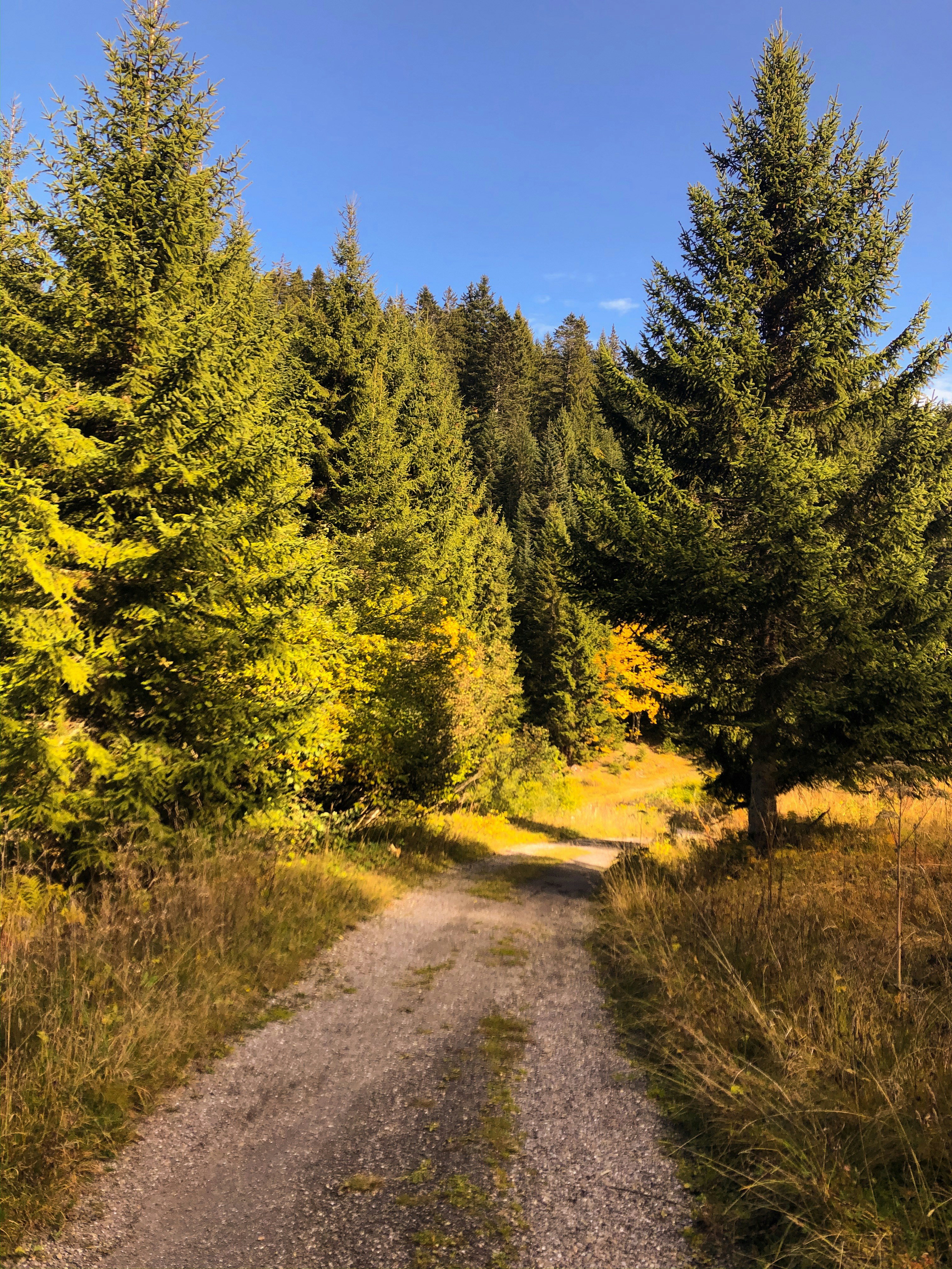 Photo by chsn_helena