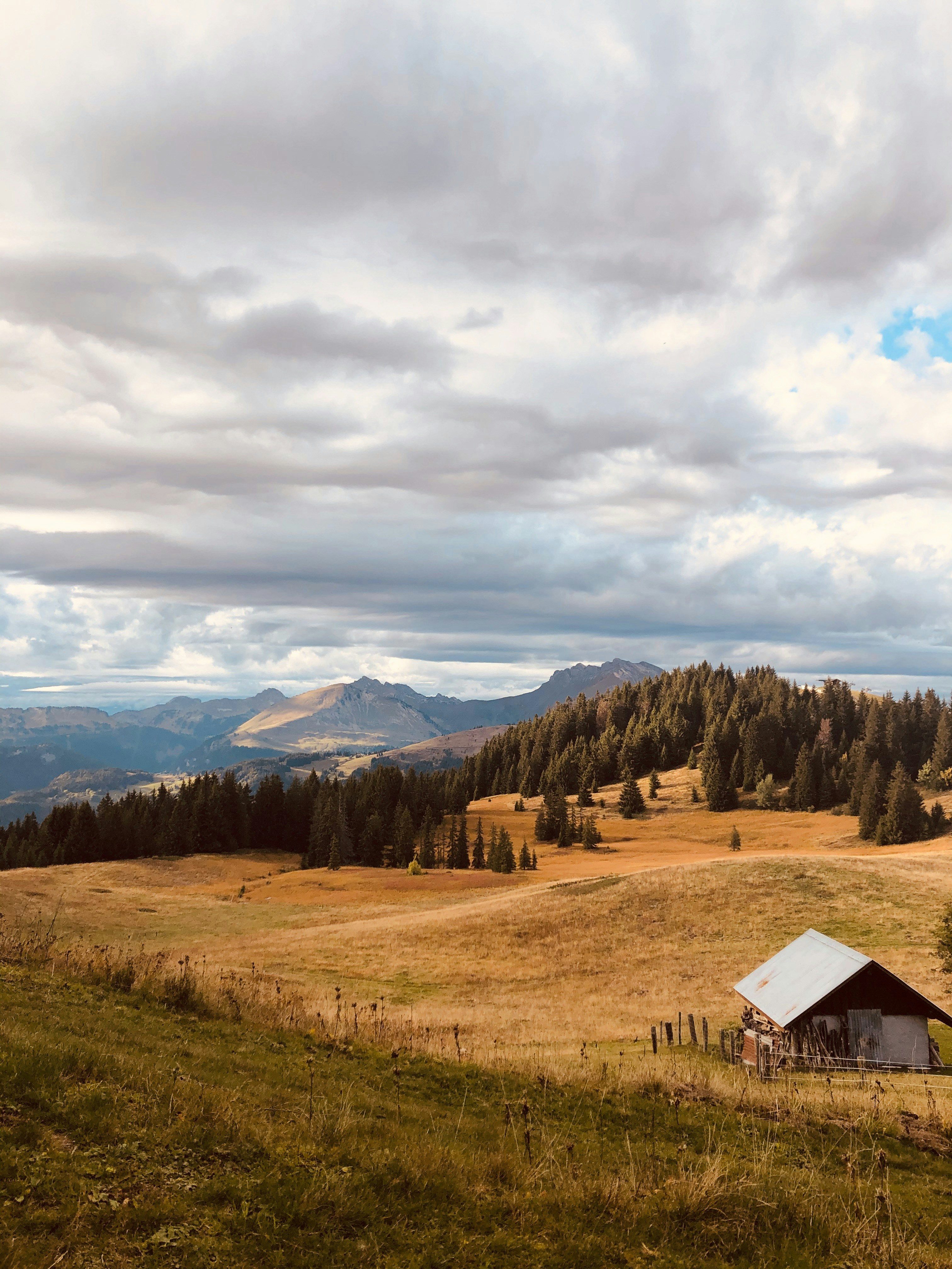 Photo by chsn_helena