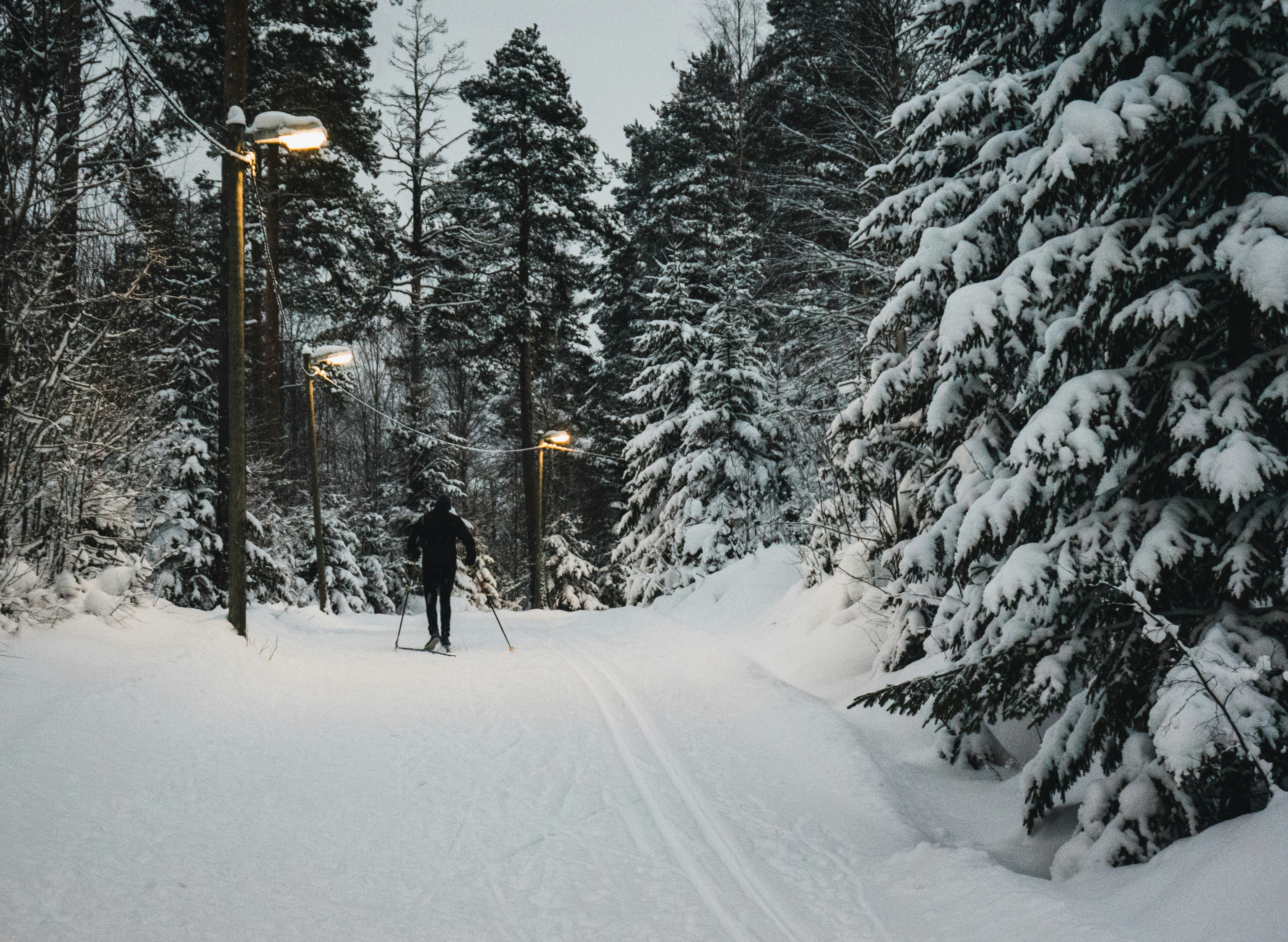 person skiing on snowy field surrounded with tall and green trees during daytime