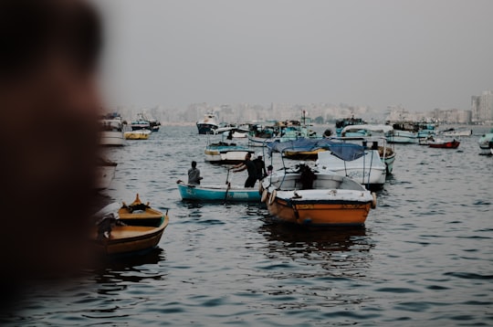 boats on body of water during daytime in Alexandria Egypt