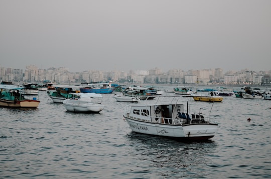 assorted boats on body of water during daytime in Alexandria Egypt