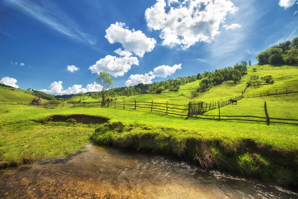 creek and grass field during day