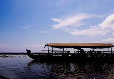 silhouette of people near boat