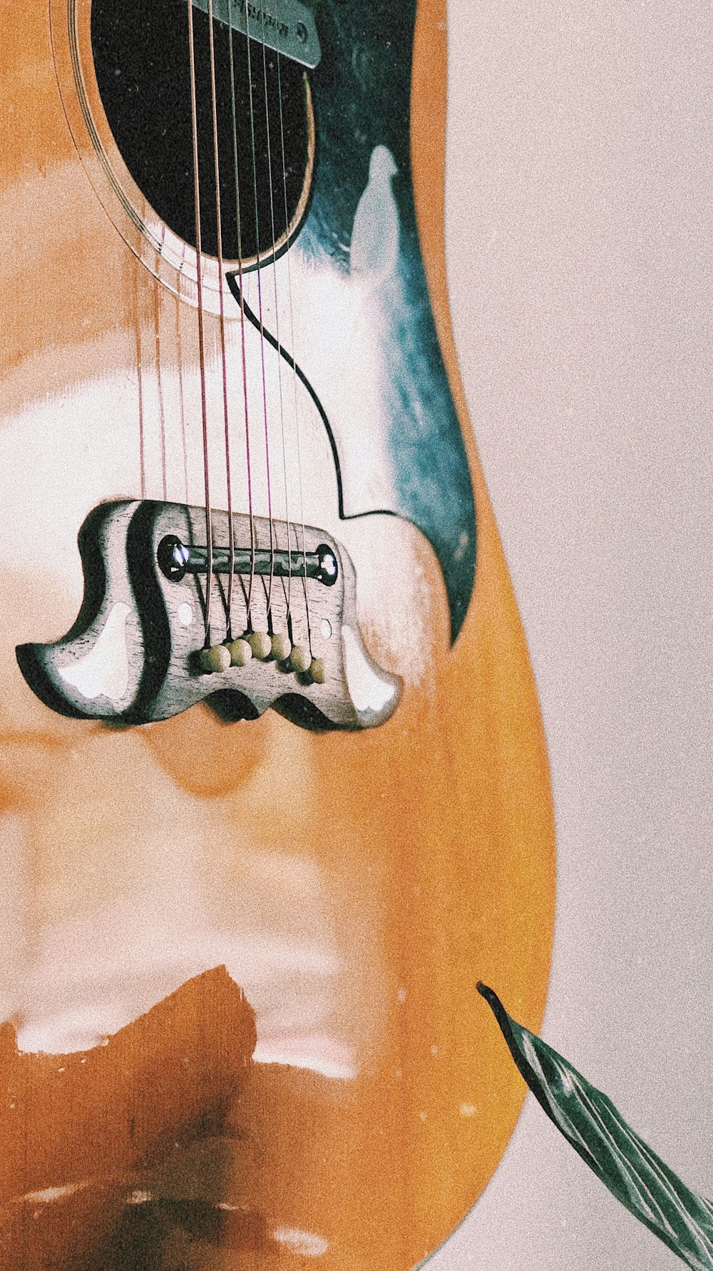 macro photography of brown guitar