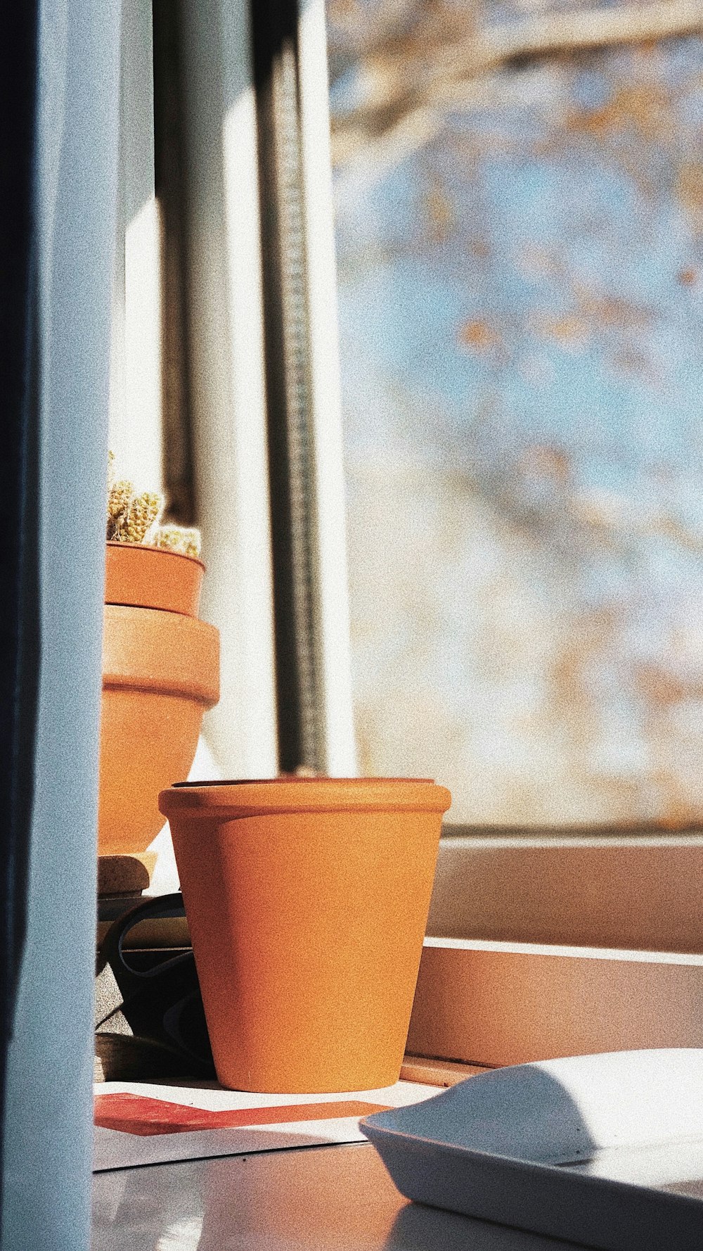 shallow focus photo of brown plant pot beside window