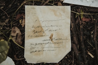 A piece of paper with handwritten text placed on a ground covered with scattered sticks and dry leaves. The paper appears to have some stains and creases, indicating age or exposure to the elements.