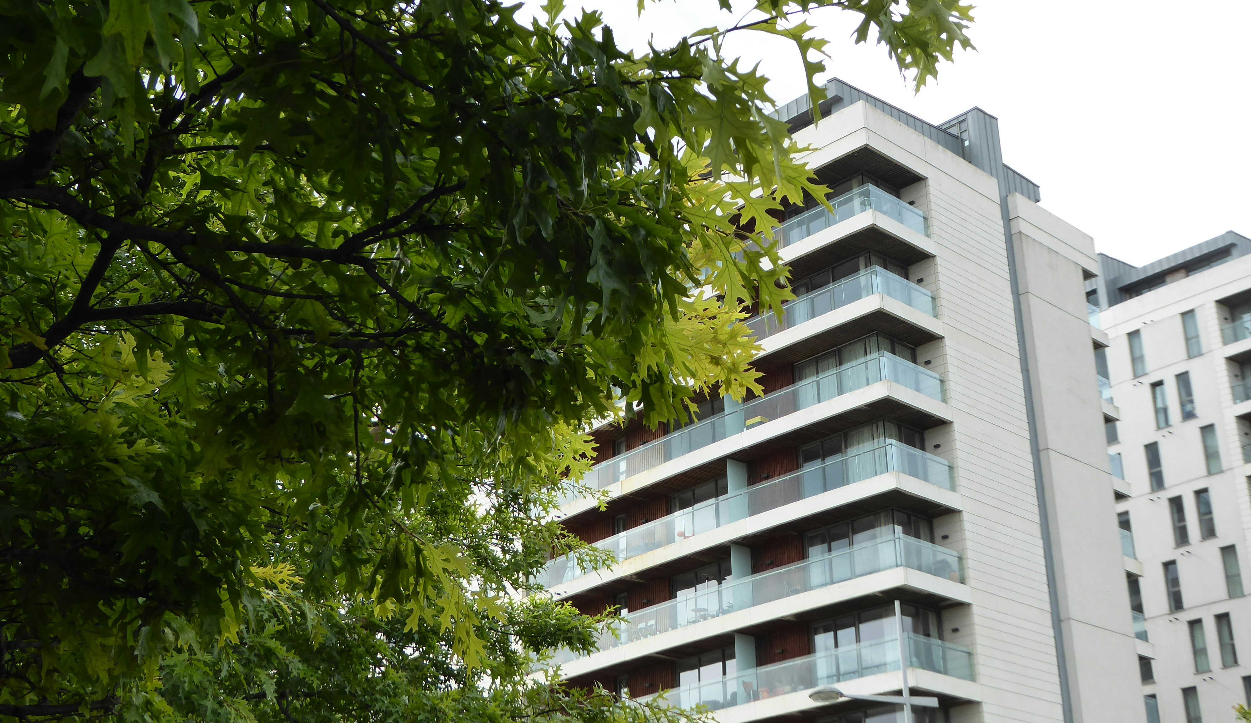 Photo by hypn0fiddl3r