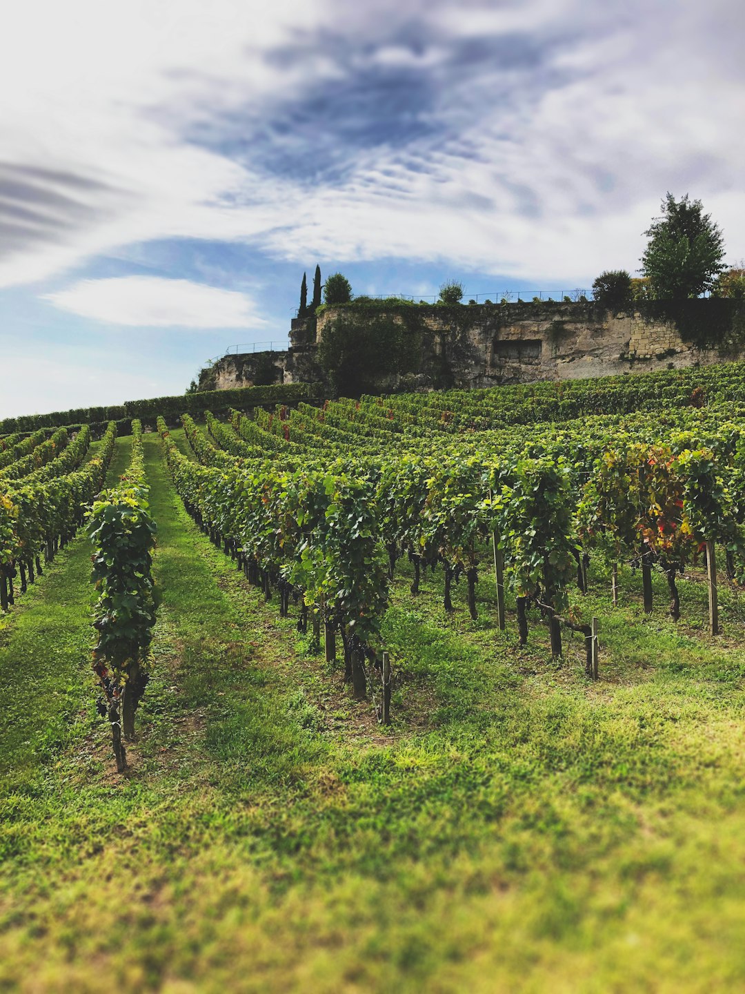 travelers stories about Hill in Saint-Émilion, France