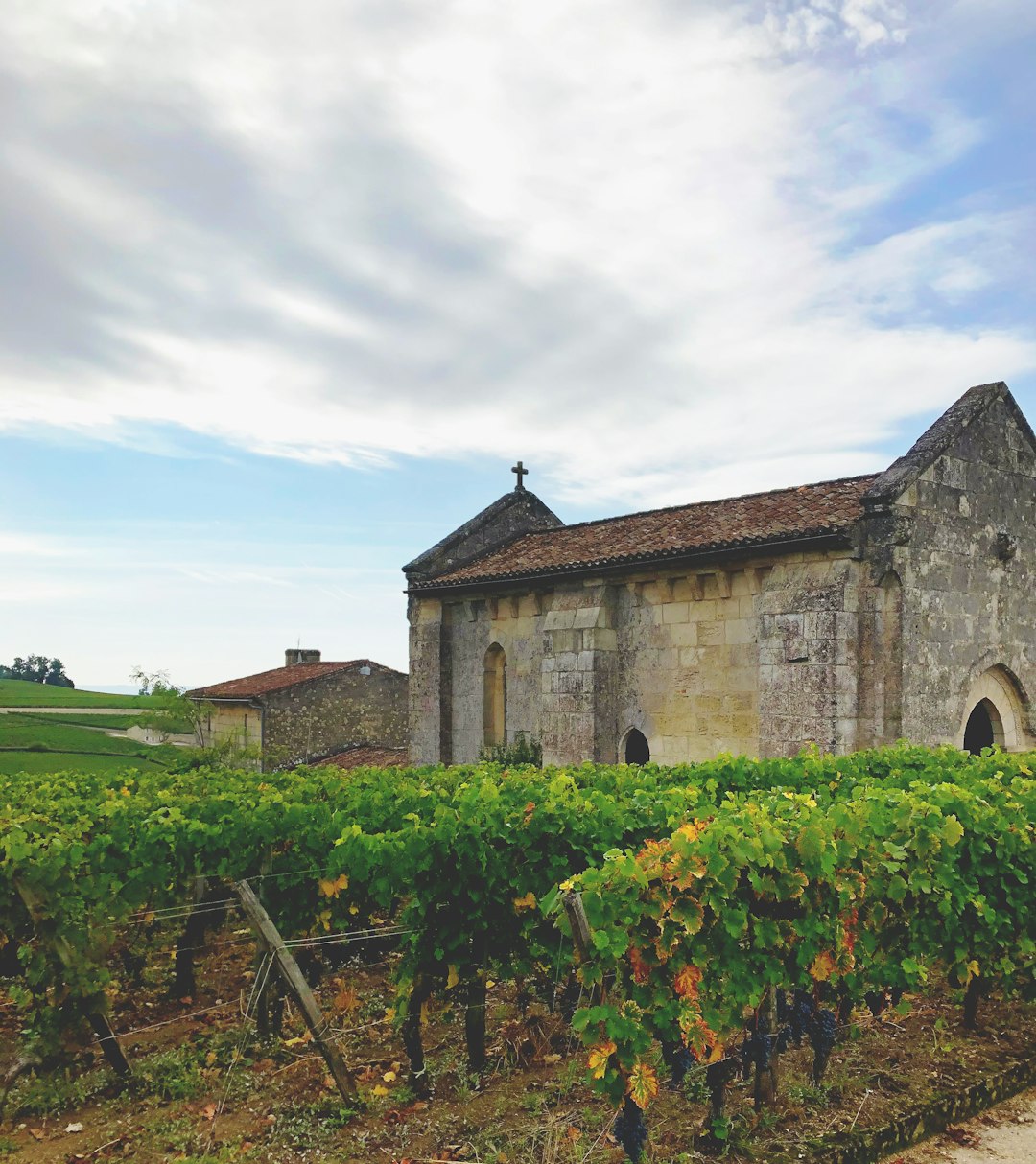 travelers stories about Ruins in Saint-Émilion, France