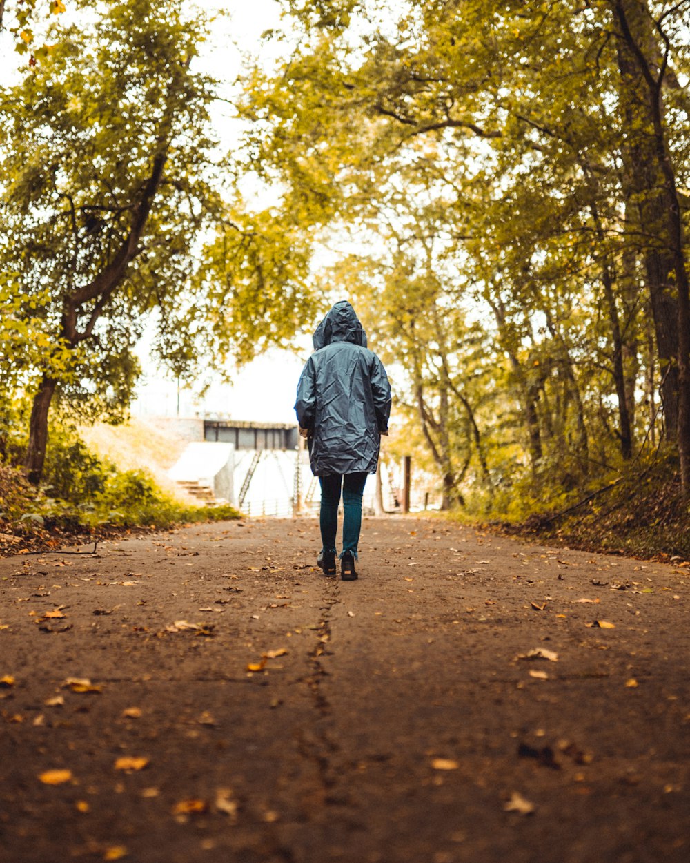 a person walking down a path in the woods