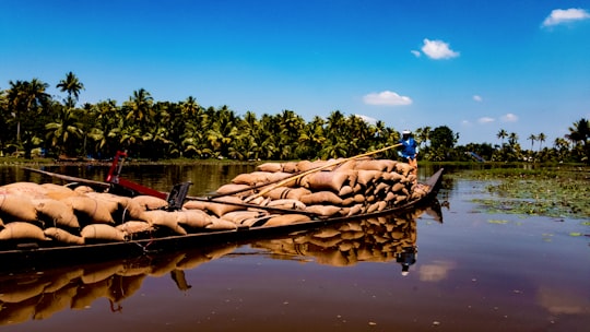 photo of Kumarakom River near Fort Kochi Beach