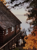 brown wooden house