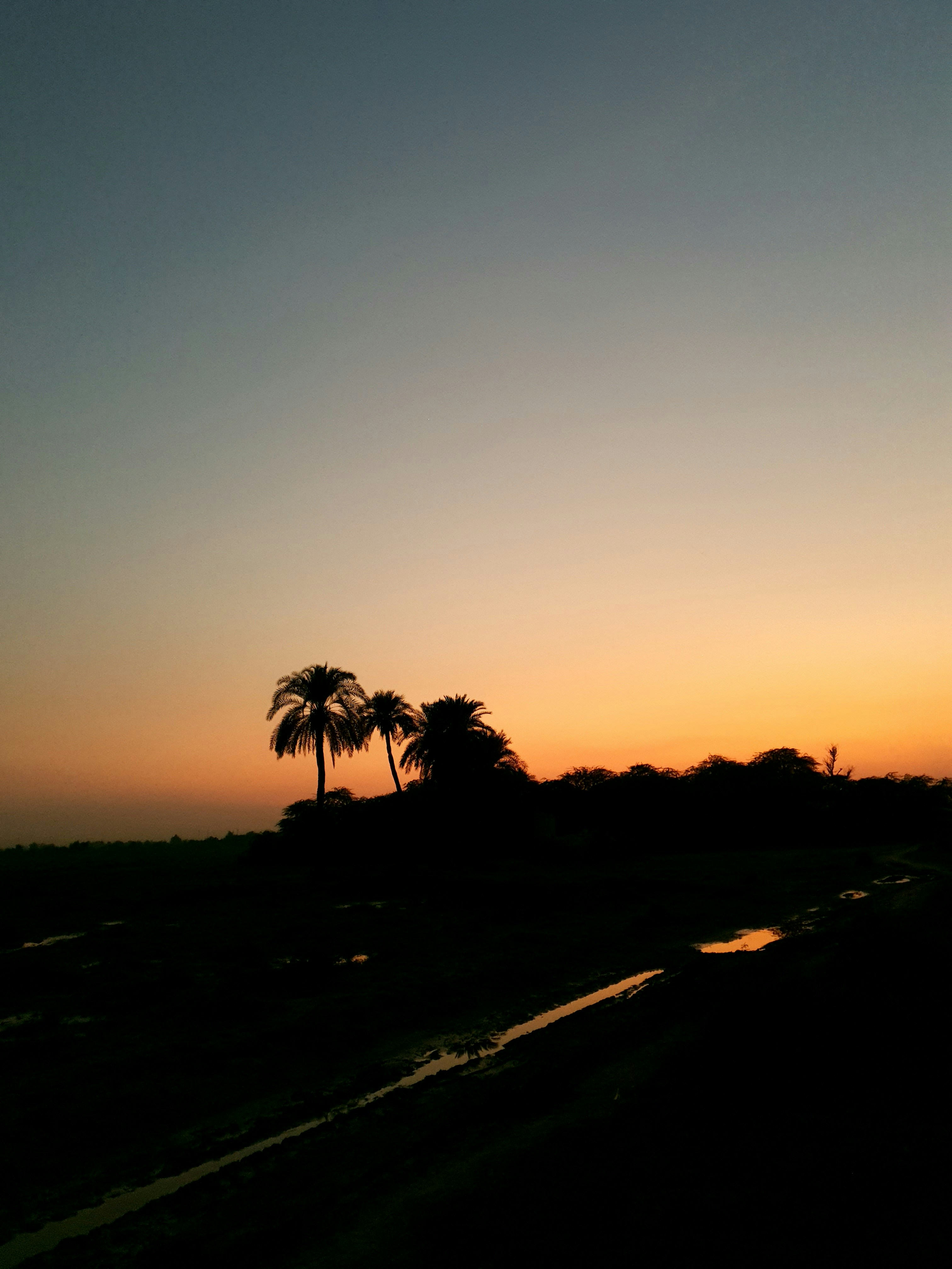 Photo by asi_abbasi