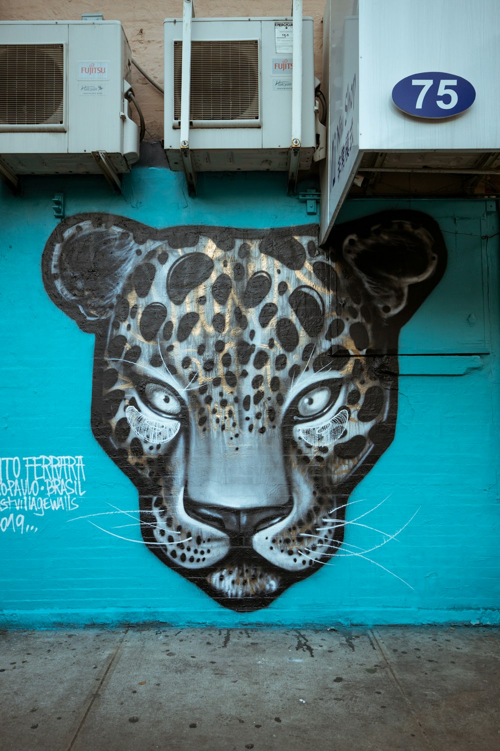 leopard graffiti
