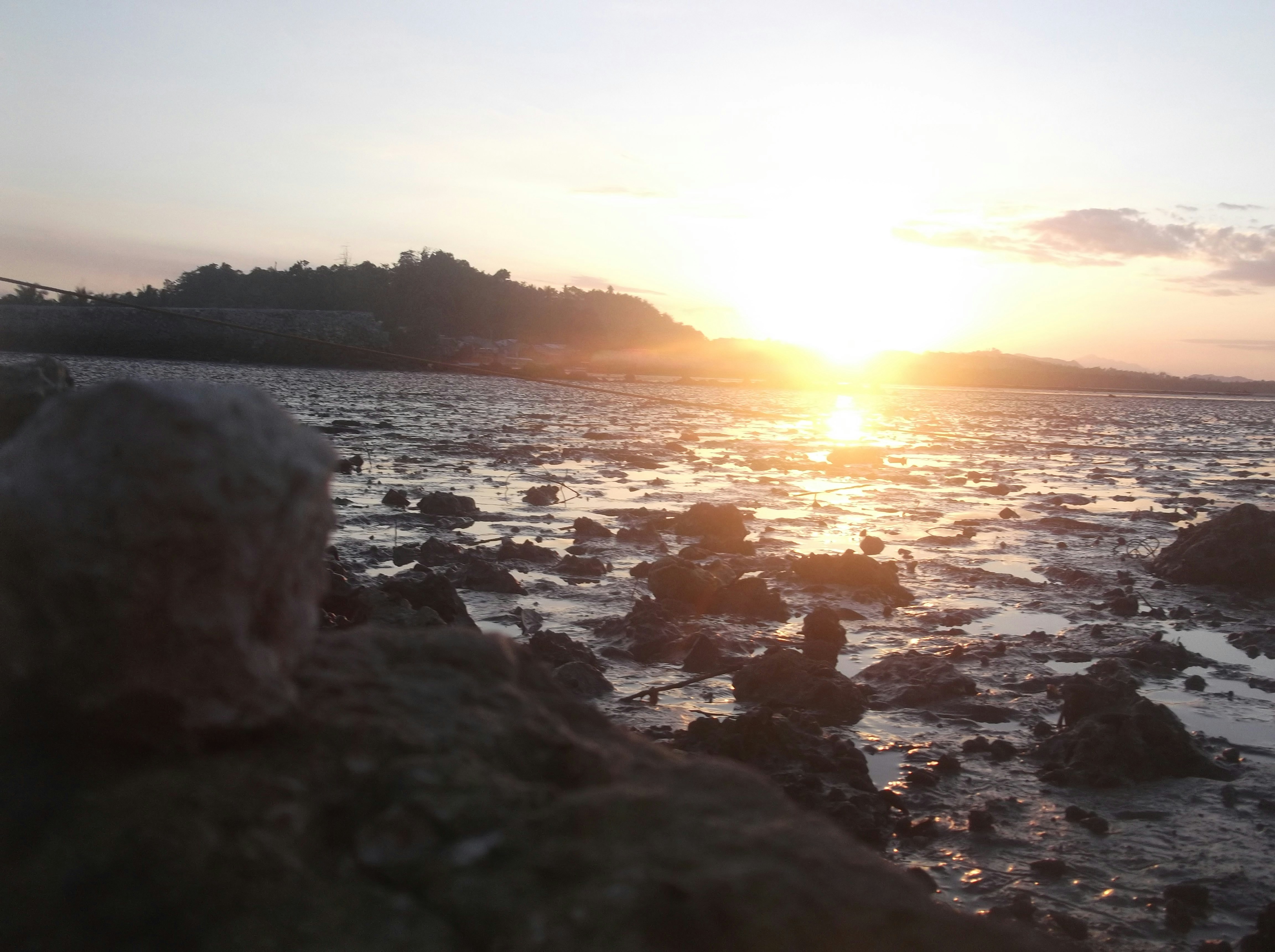 Photo by ralphoreo
