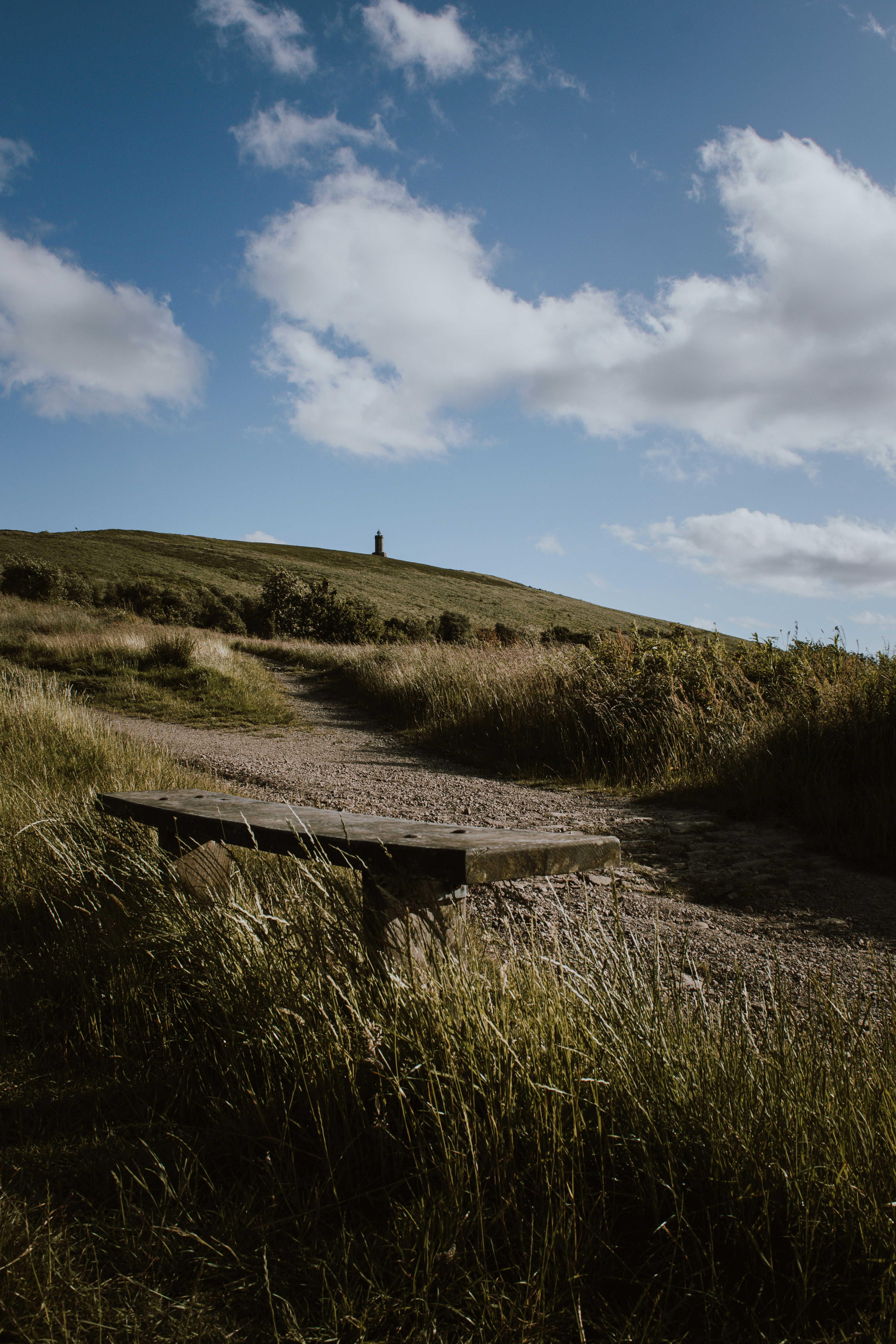 Photo by yellowumbrellamedia