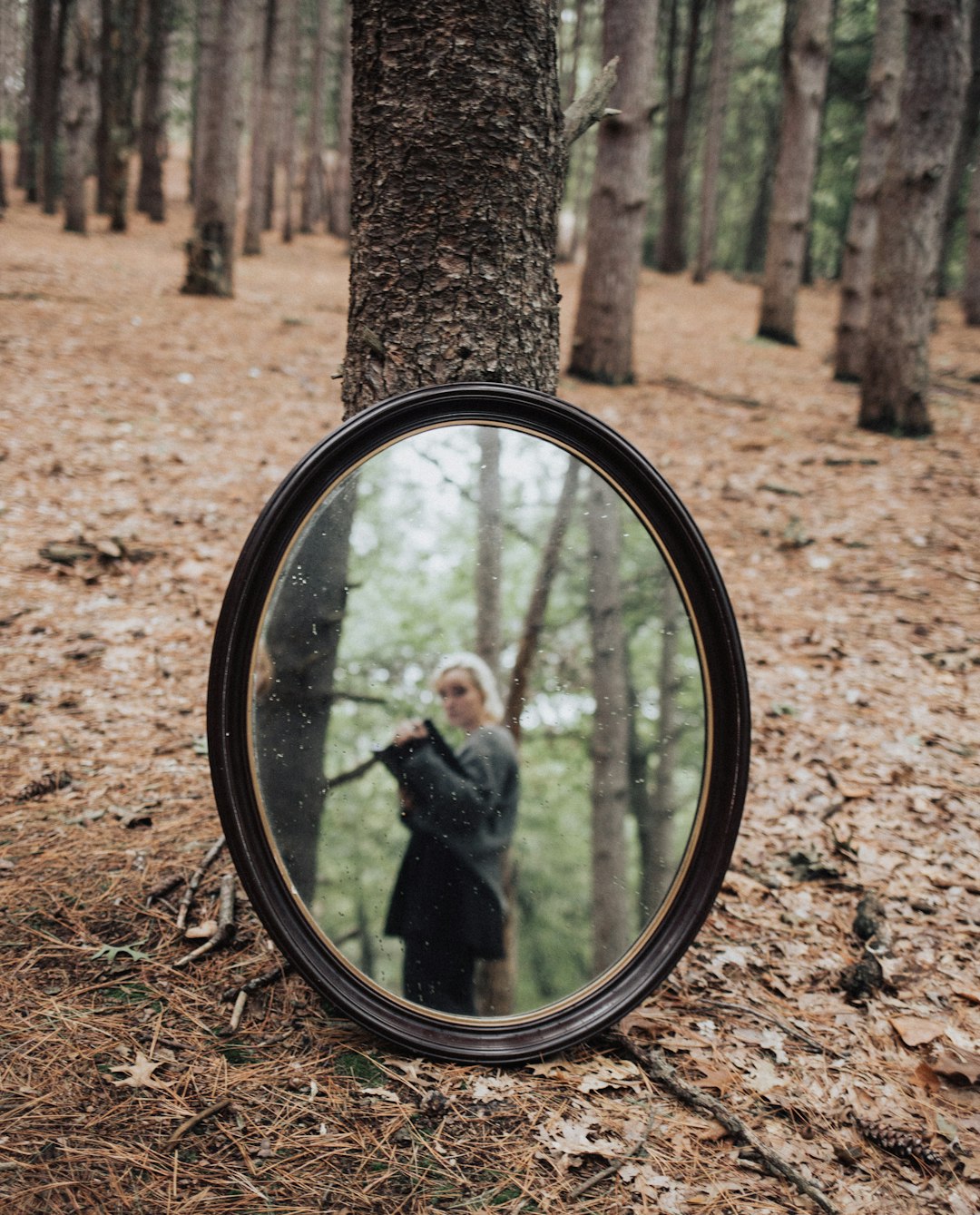 oval mirror in forest