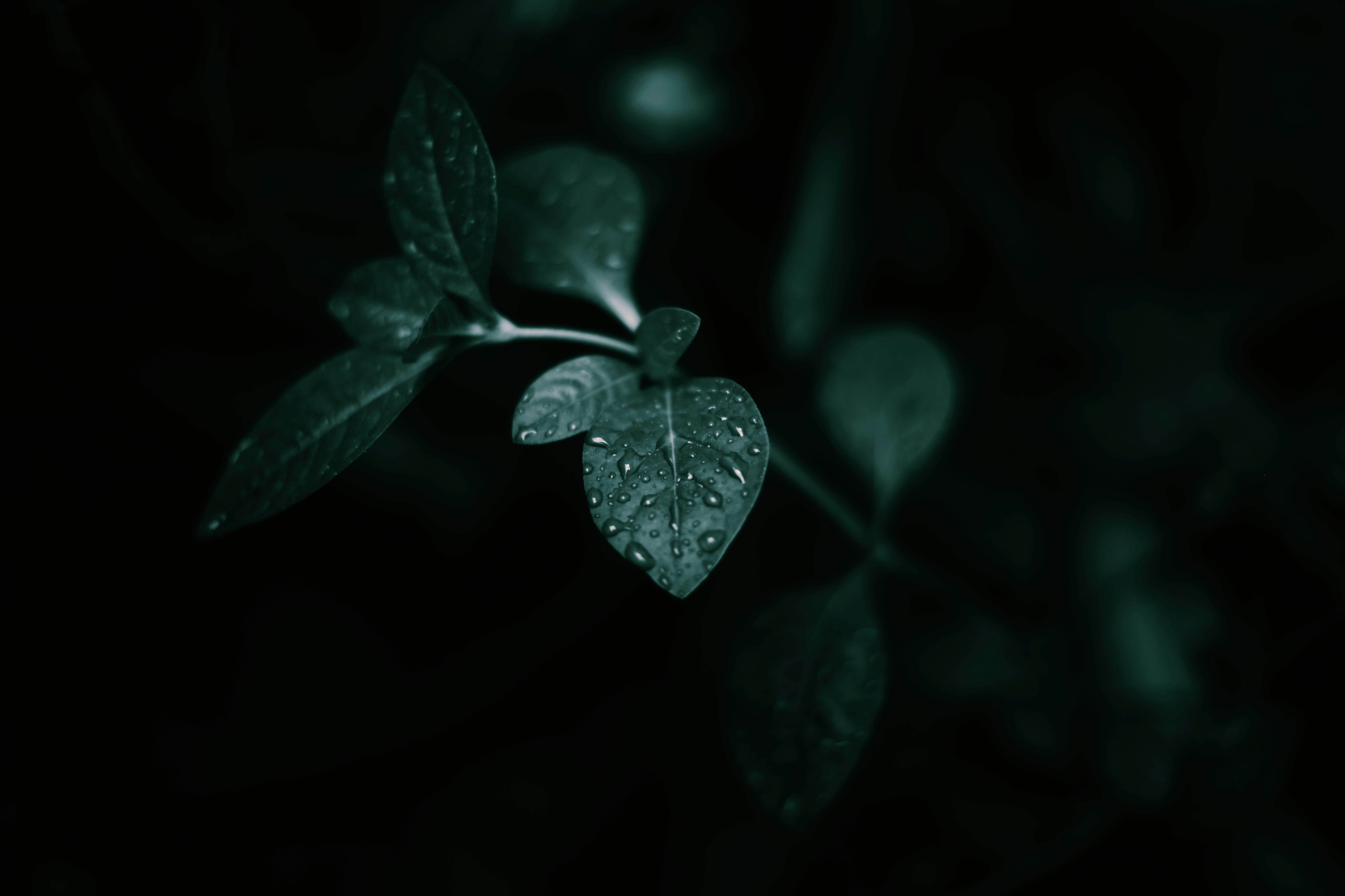 Photo by sujeethpotla