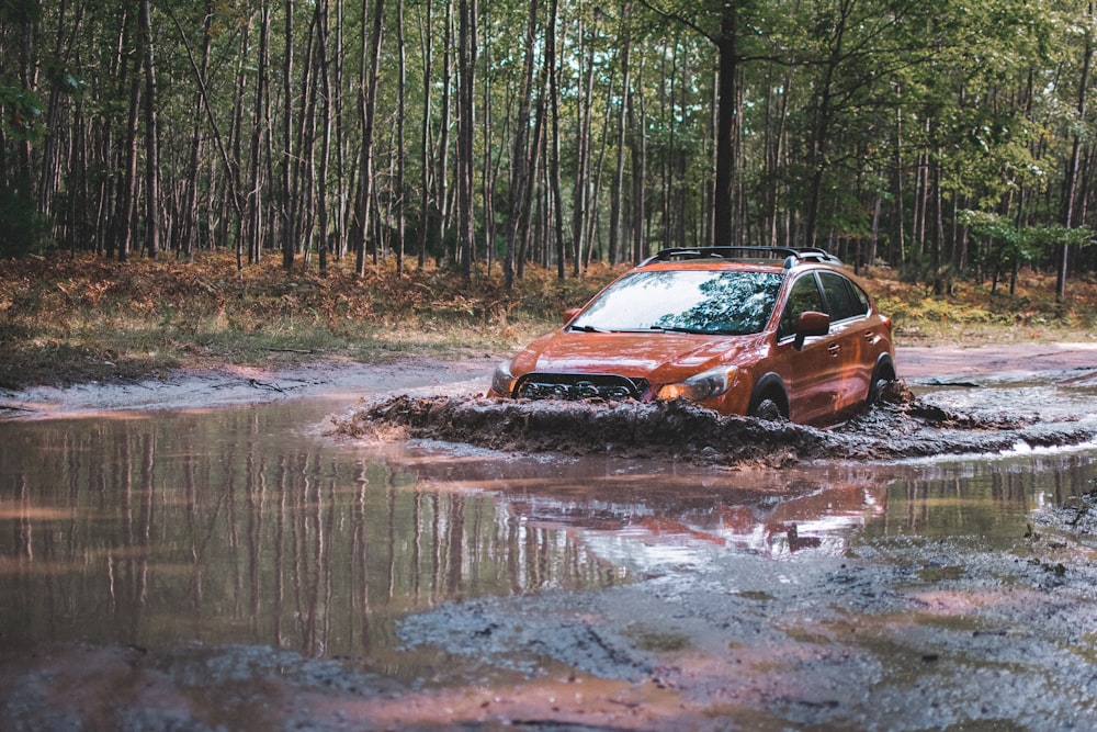 orange SUV passing through muddy lake surrounded with tall and green trees during daytime