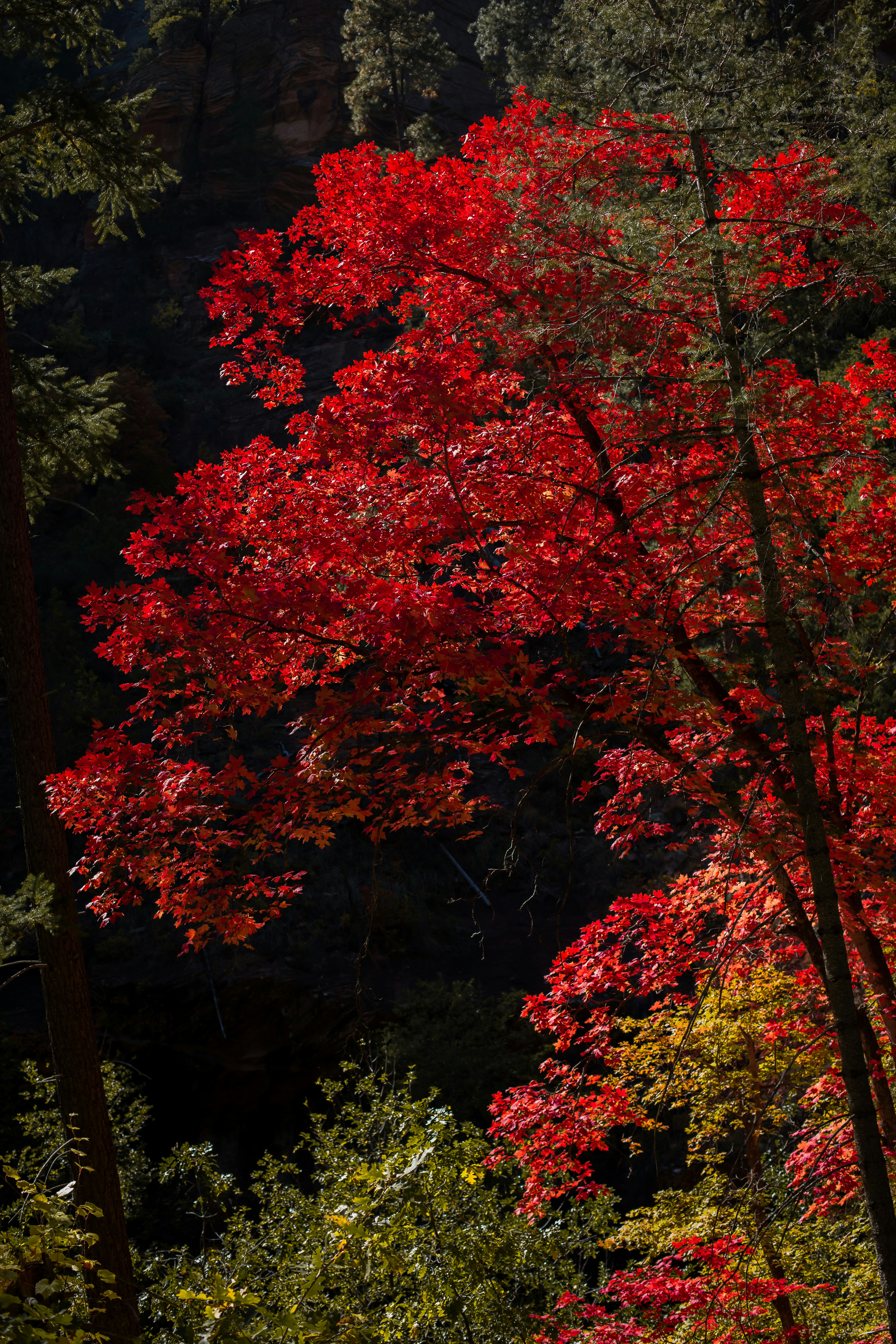 Photo by mannymisfit