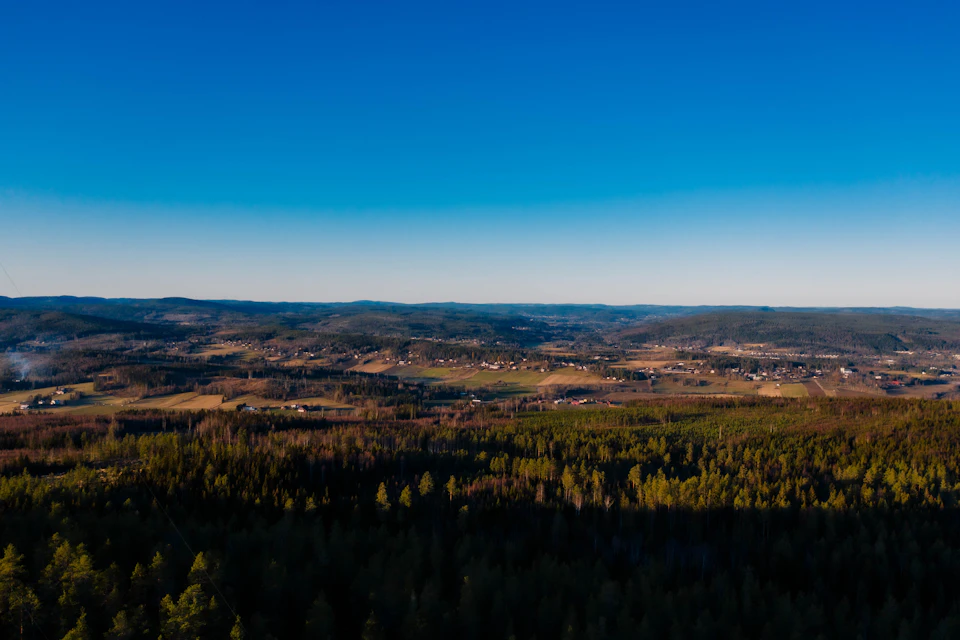 The image presents an aerial view of a vast, flat landscape with a clear blue sky and lush green fields below. The field is dotted with trees that add depth to the scene. In the distance, there are several small towns scattered across the horizon, their details slightly blurred due to the distance from which the photo was taken.

The image does not contain any discernible text or countable objects, making it a purely visual representation of the landscape. The colors in the image are predominantly green and blue, reflecting the natural environment and sky respectively.