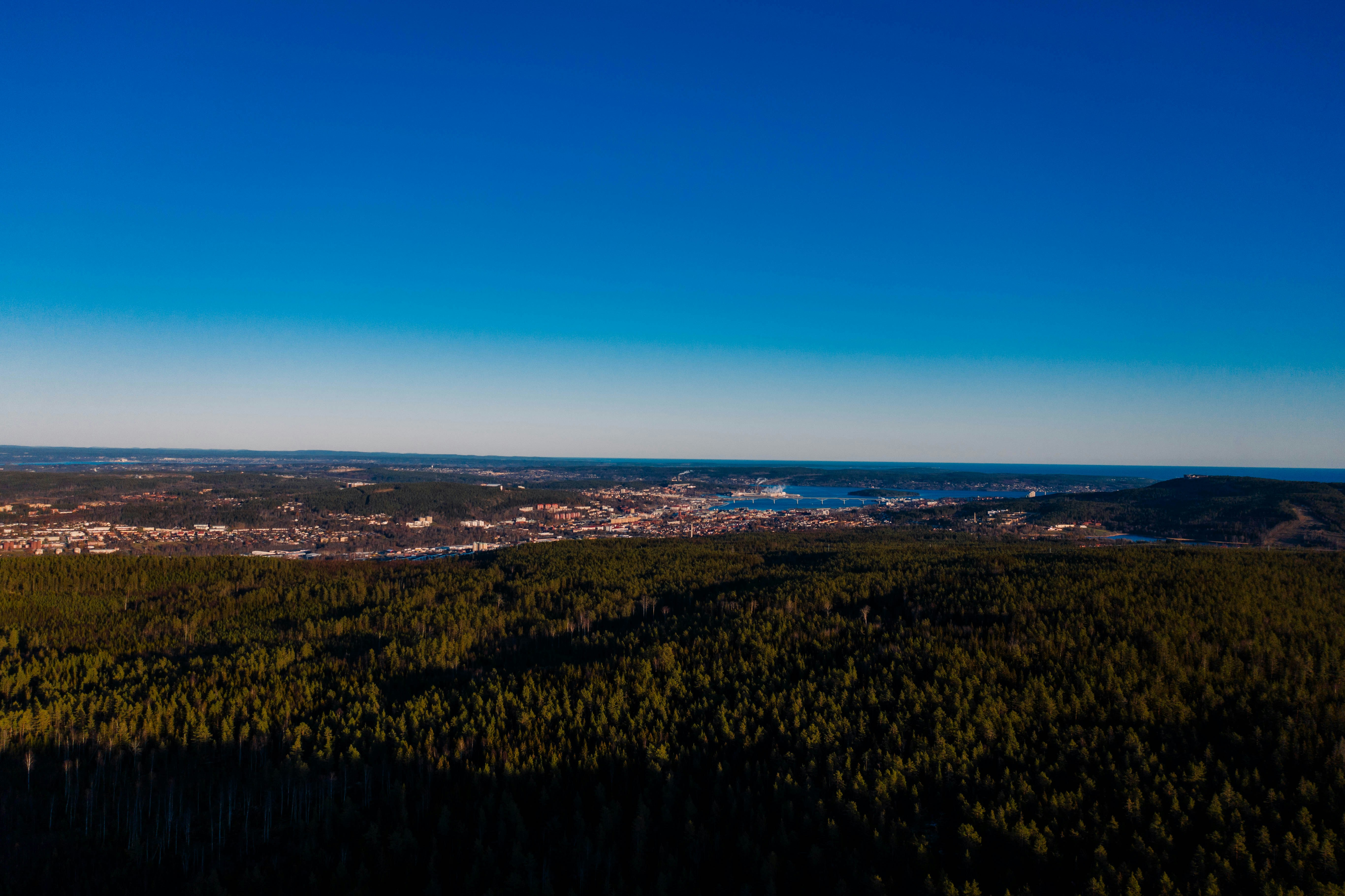 Photo by hendrikpeter