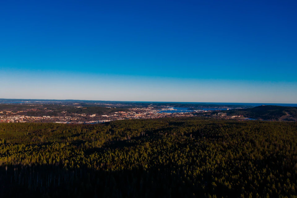 The image presents an aerial view of a city nestled amidst lush green trees and rolling hills, with a body of water visible in the distance. The city is densely populated, with buildings of varying heights scattered across the landscape. The sky above is a clear blue, providing a beautiful backdrop to the verdant surroundings below.