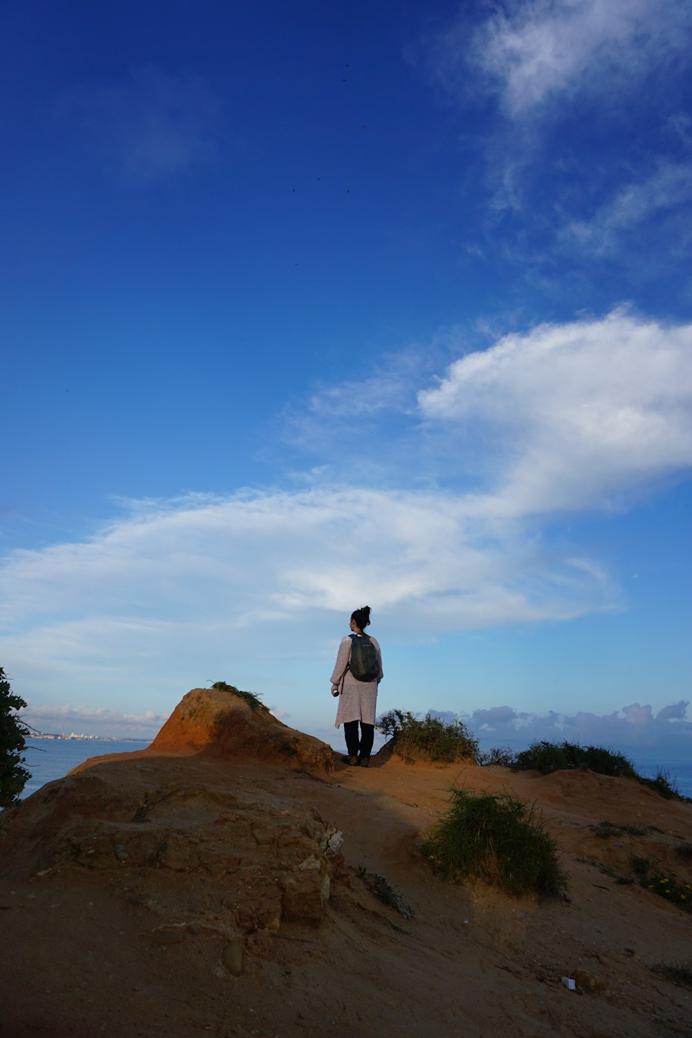 woman standing on top of mountain