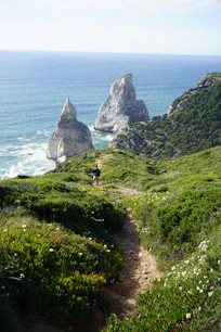 rock formations on sea