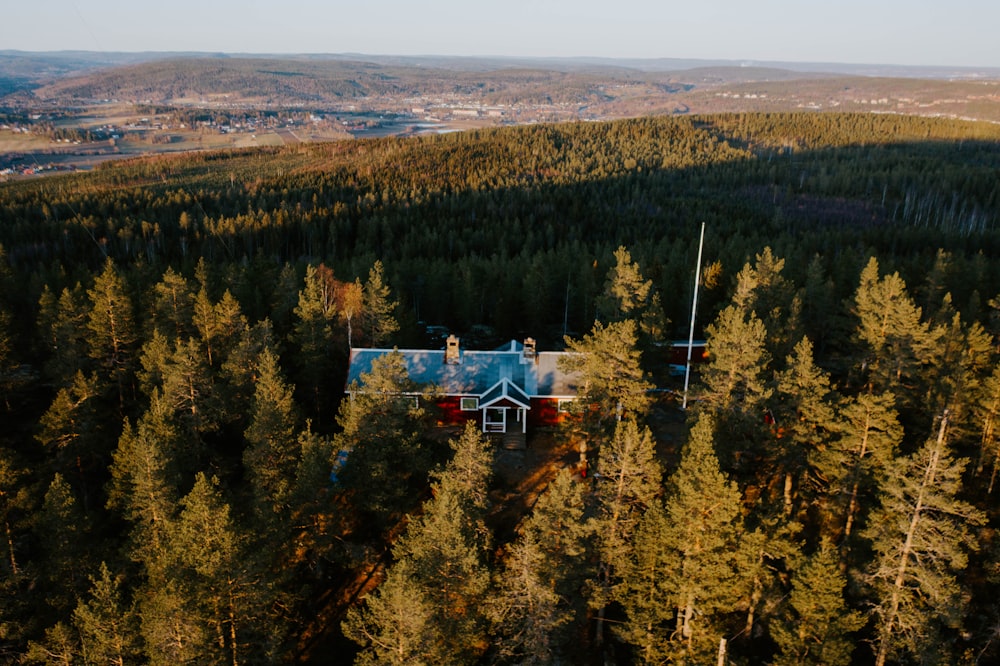 cabin in forest