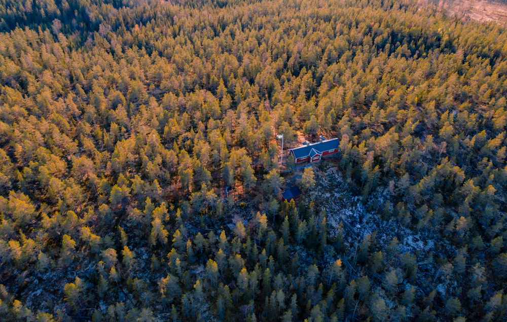 aerial photo of house in middle of forest